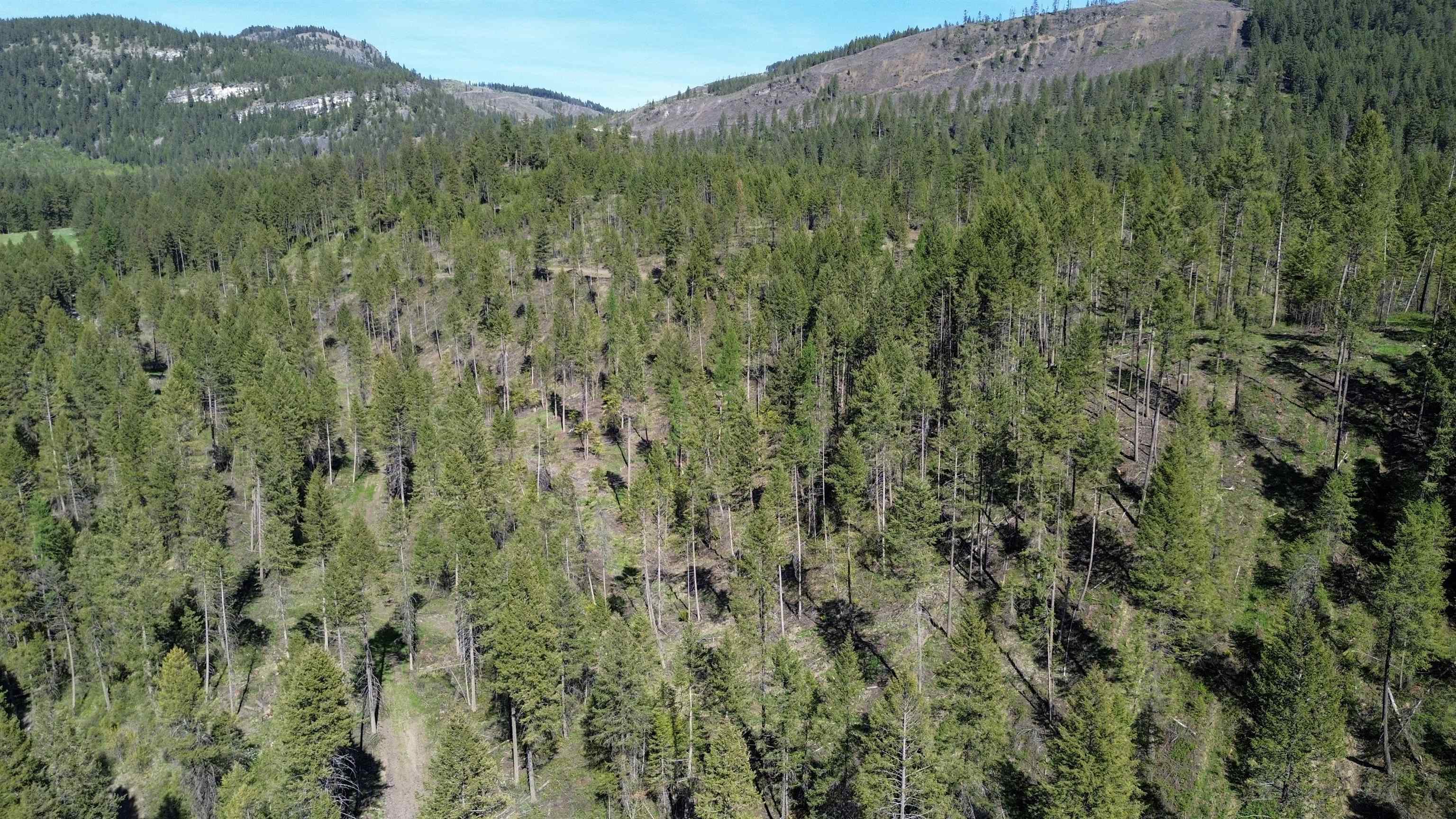 16-TBD Williams Lake Rd - Photo 8