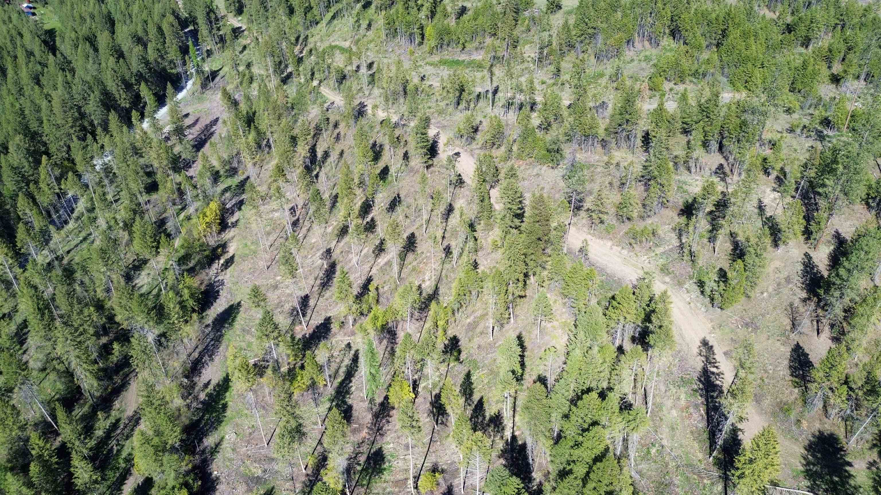 16-TBD Williams Lake Rd - Photo 9