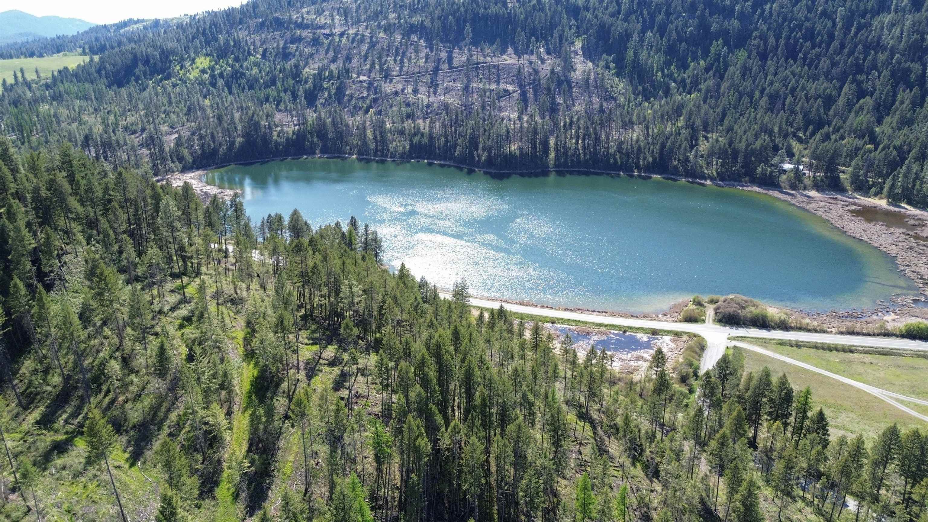 16-TBD Williams Lake Rd - Photo 10