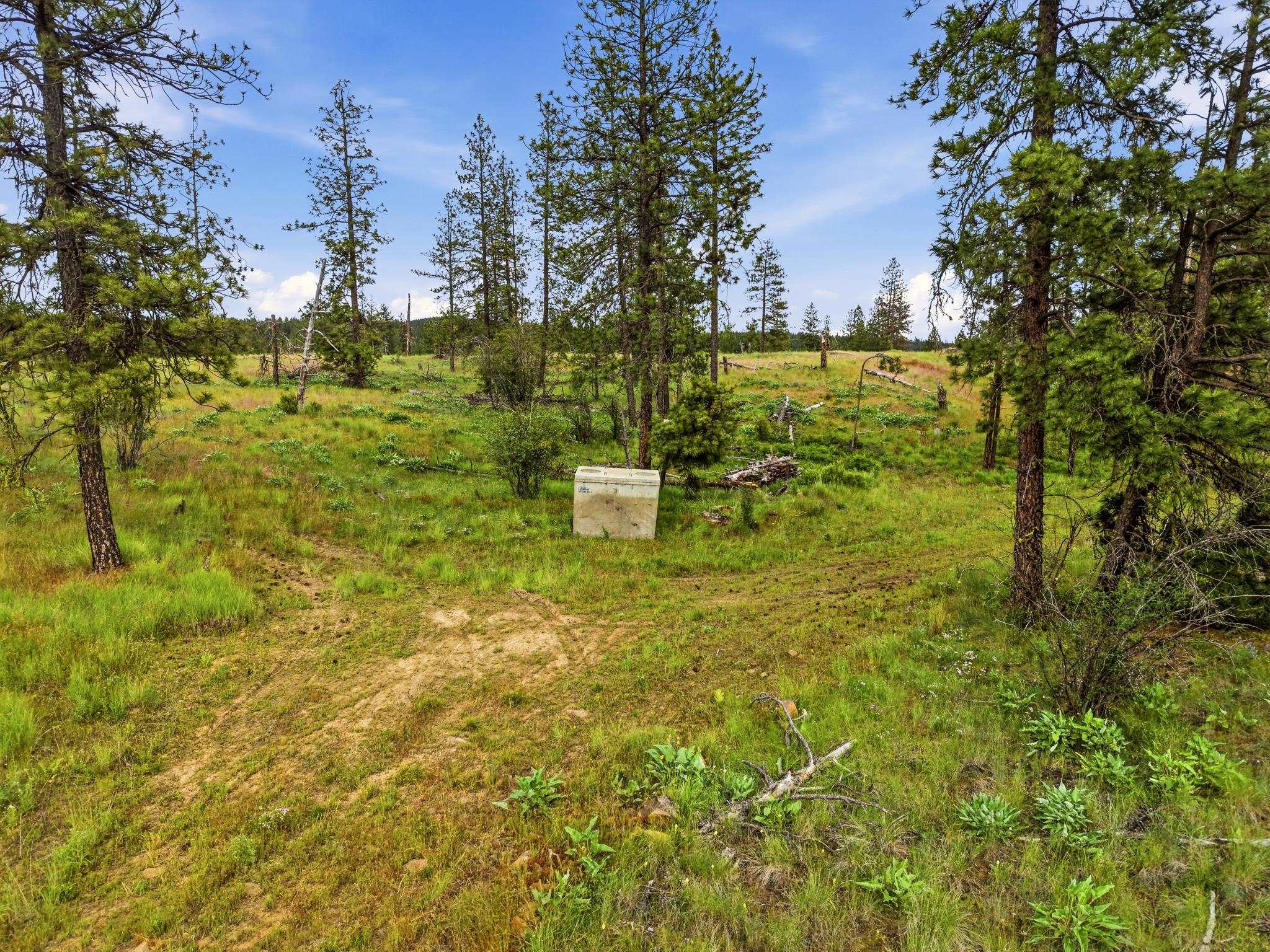 6582 Stony Way - Photo 7