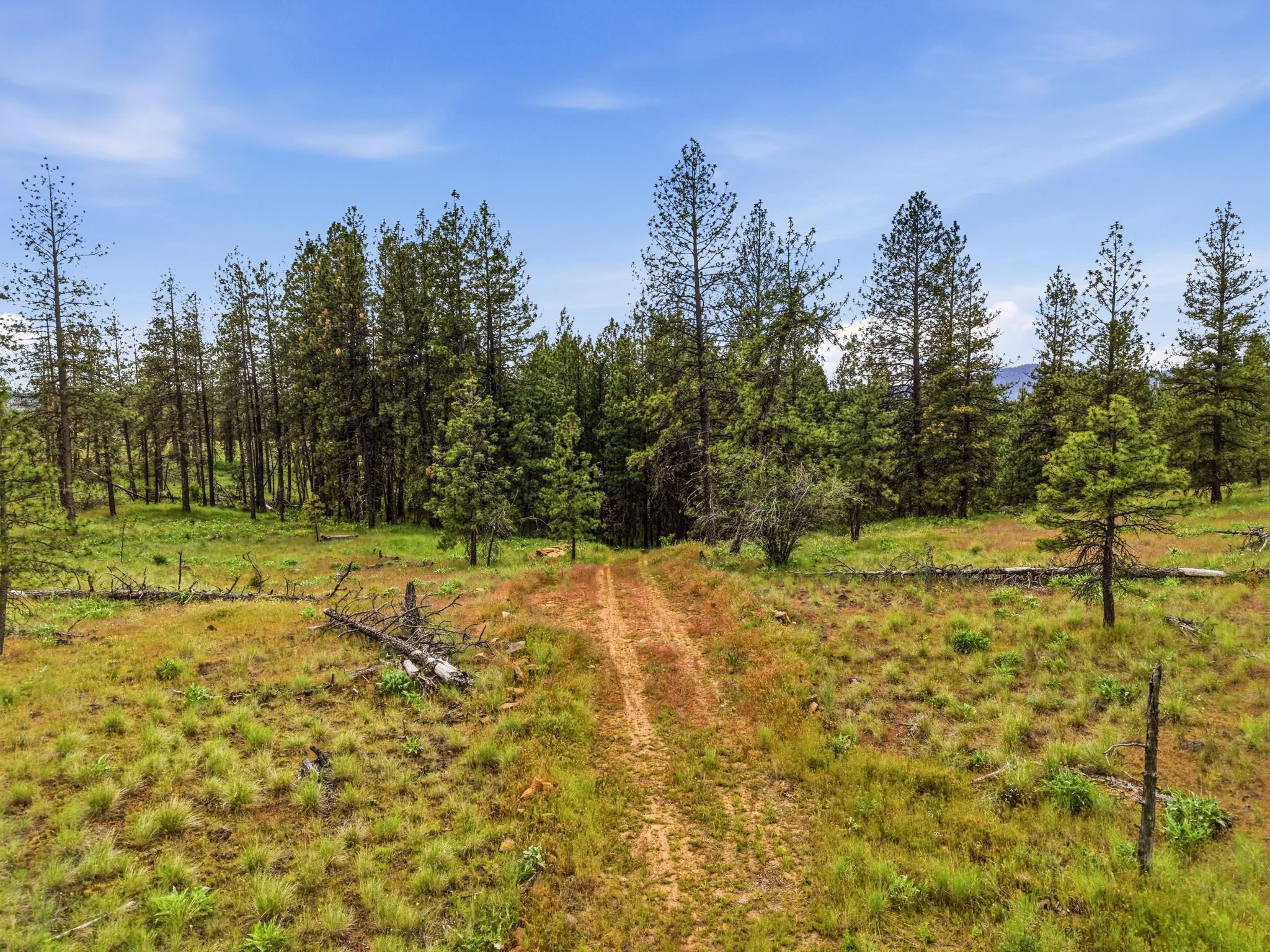 6582 Stony Way - Photo 9