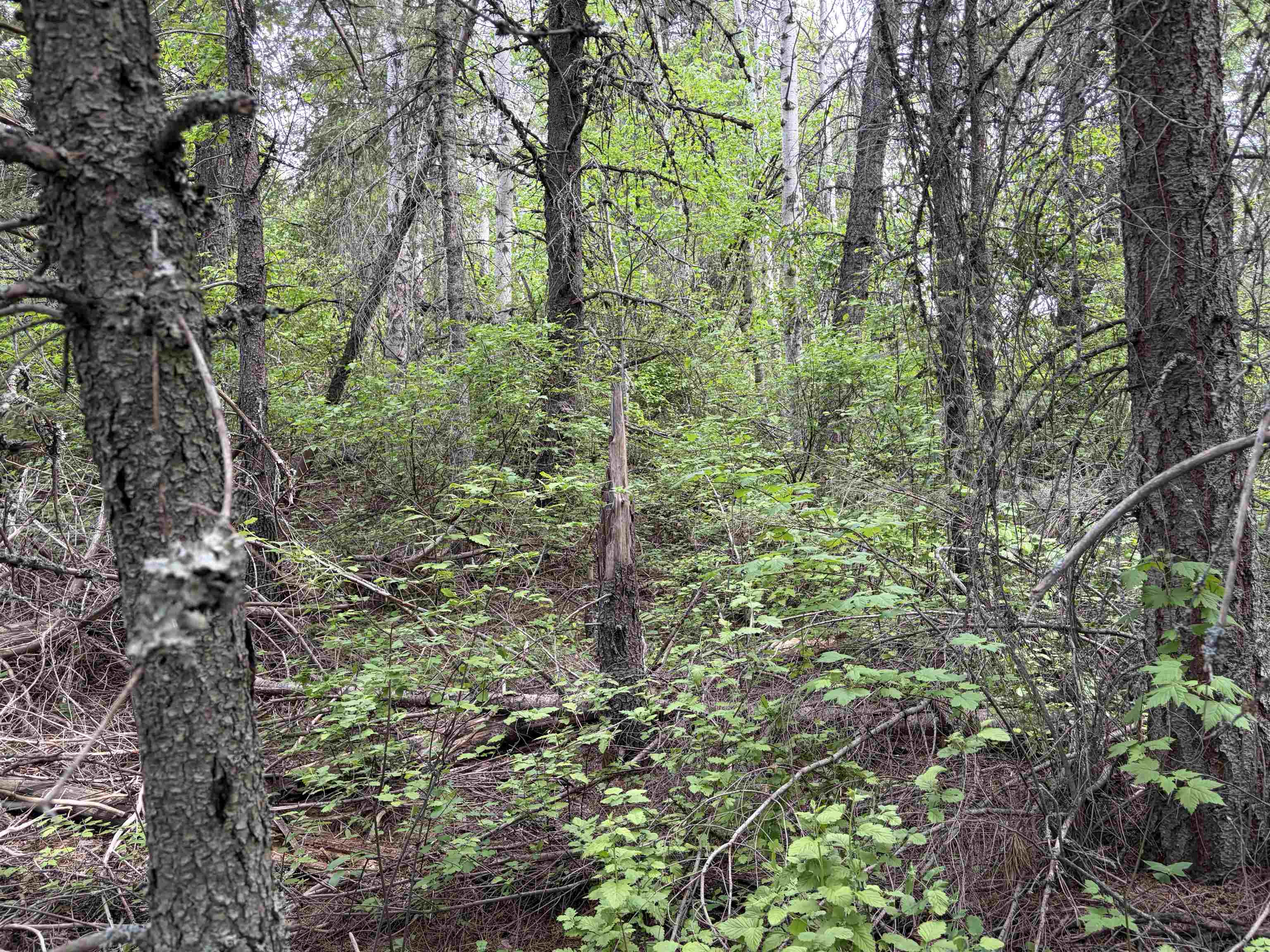 NKA Lookout Rd - Photo 12