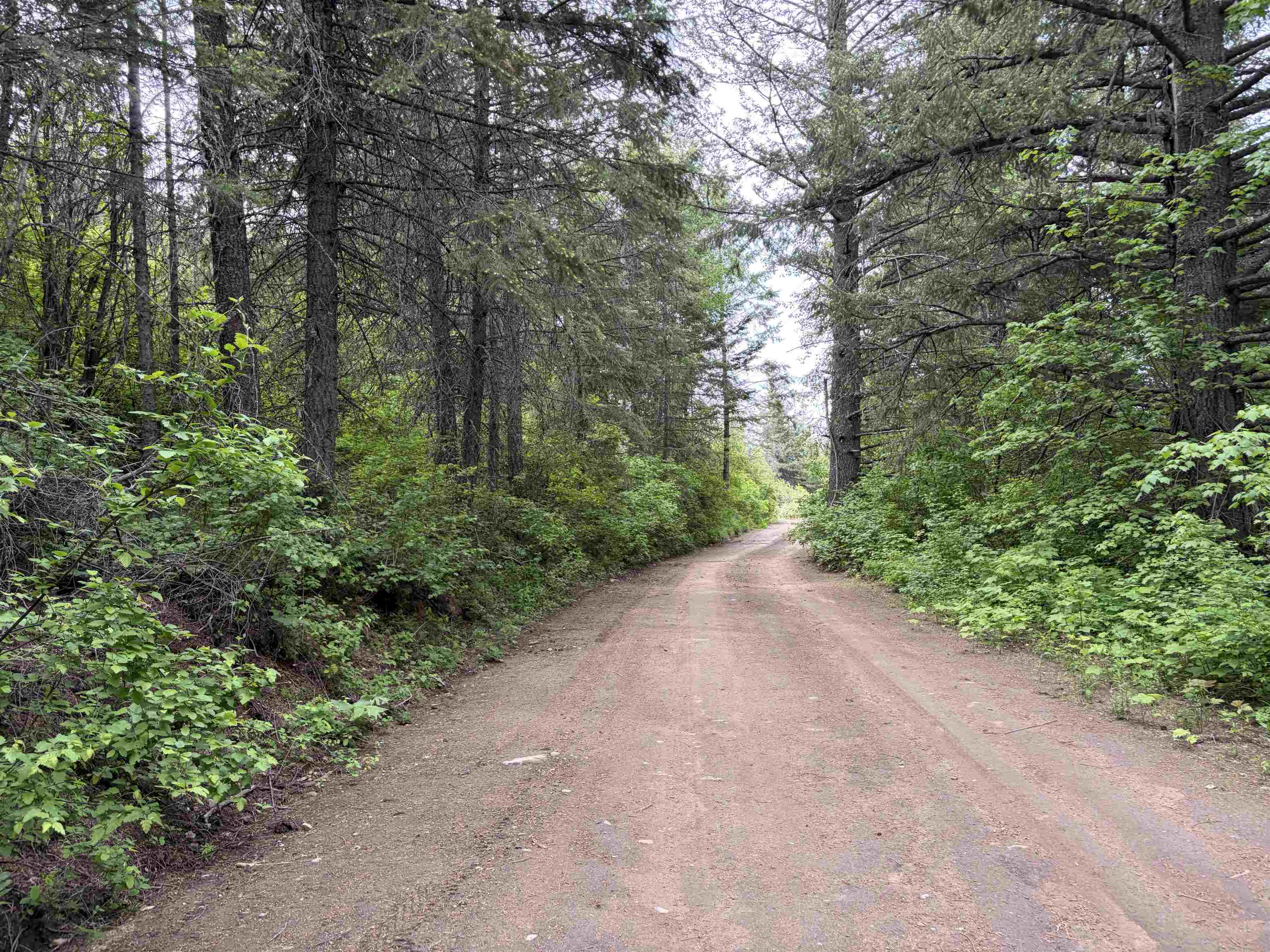 NKA Lookout Rd - Photo 3