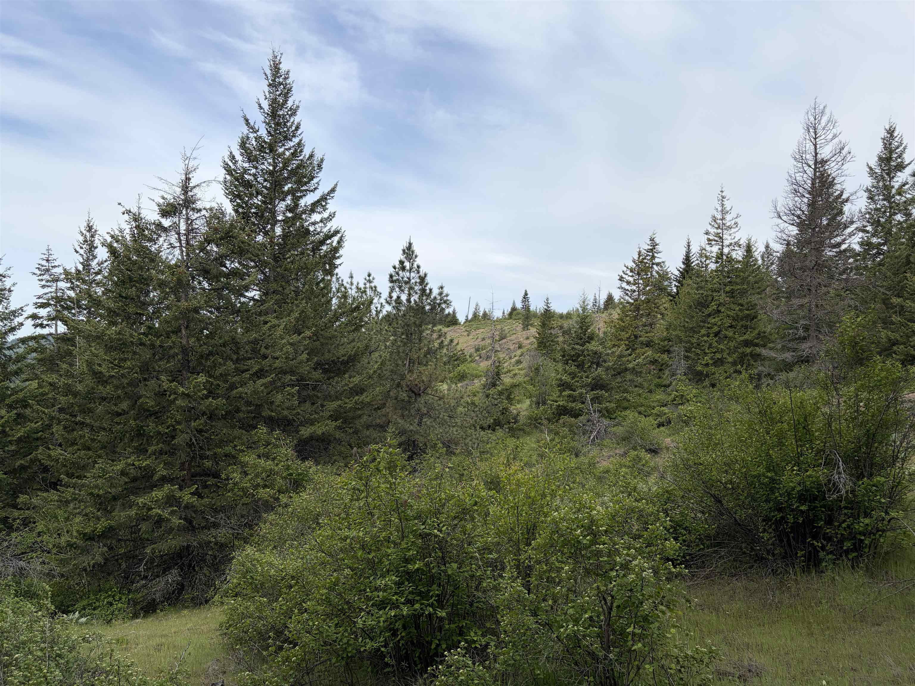 NKA Lookout Rd - Photo 4