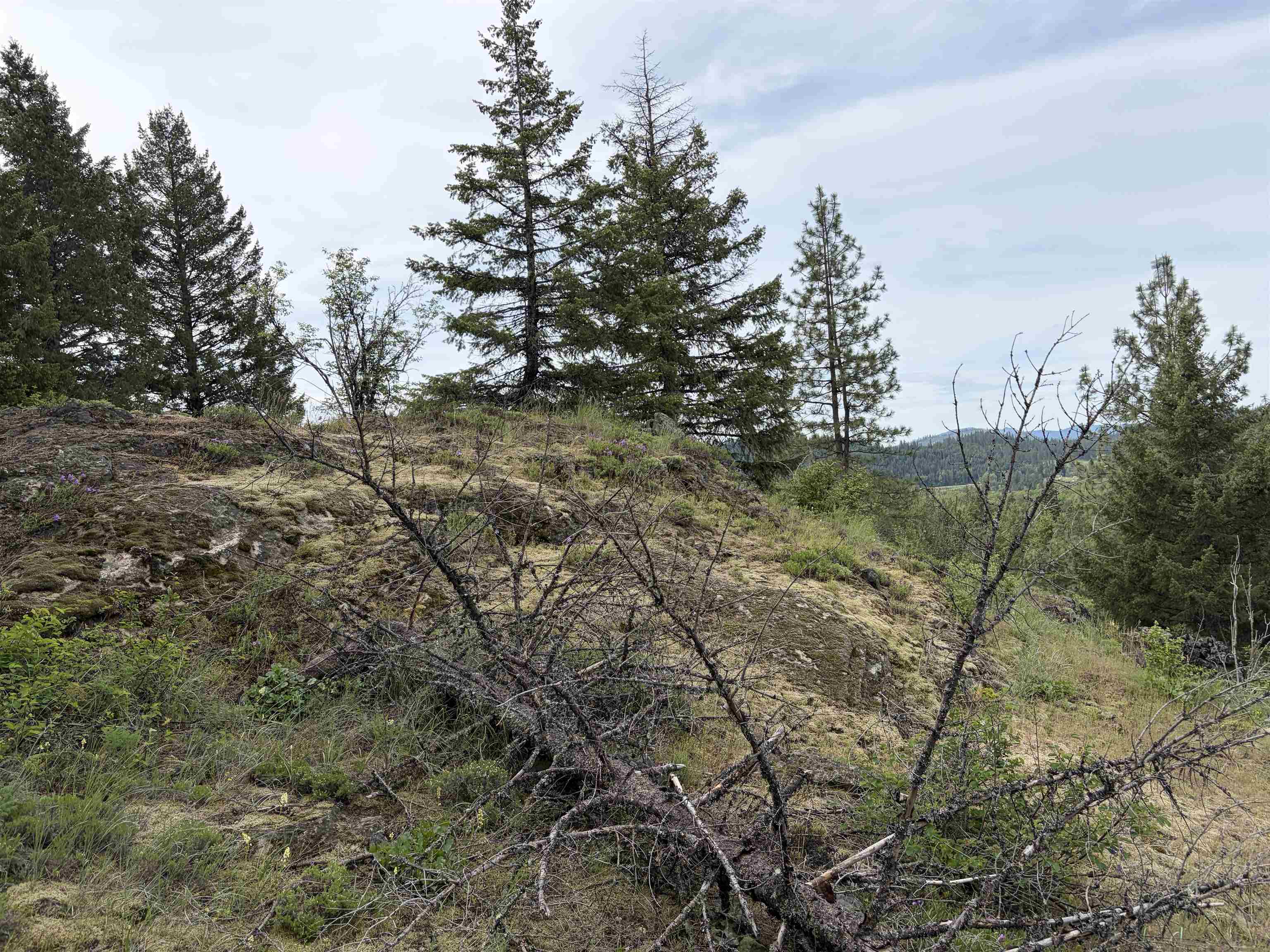 NKA Lookout Rd - Photo 5