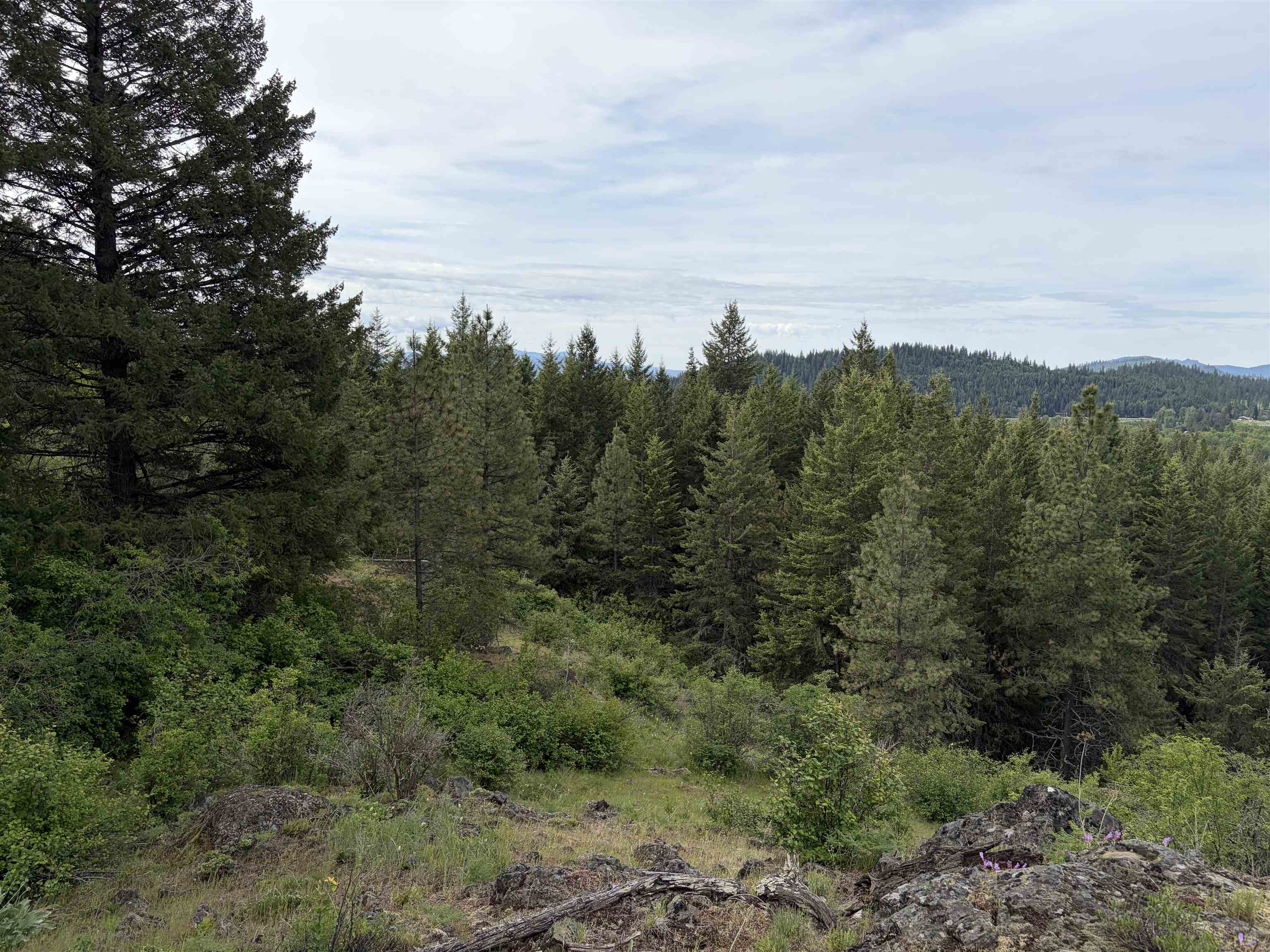 NKA Lookout Rd - Photo 6