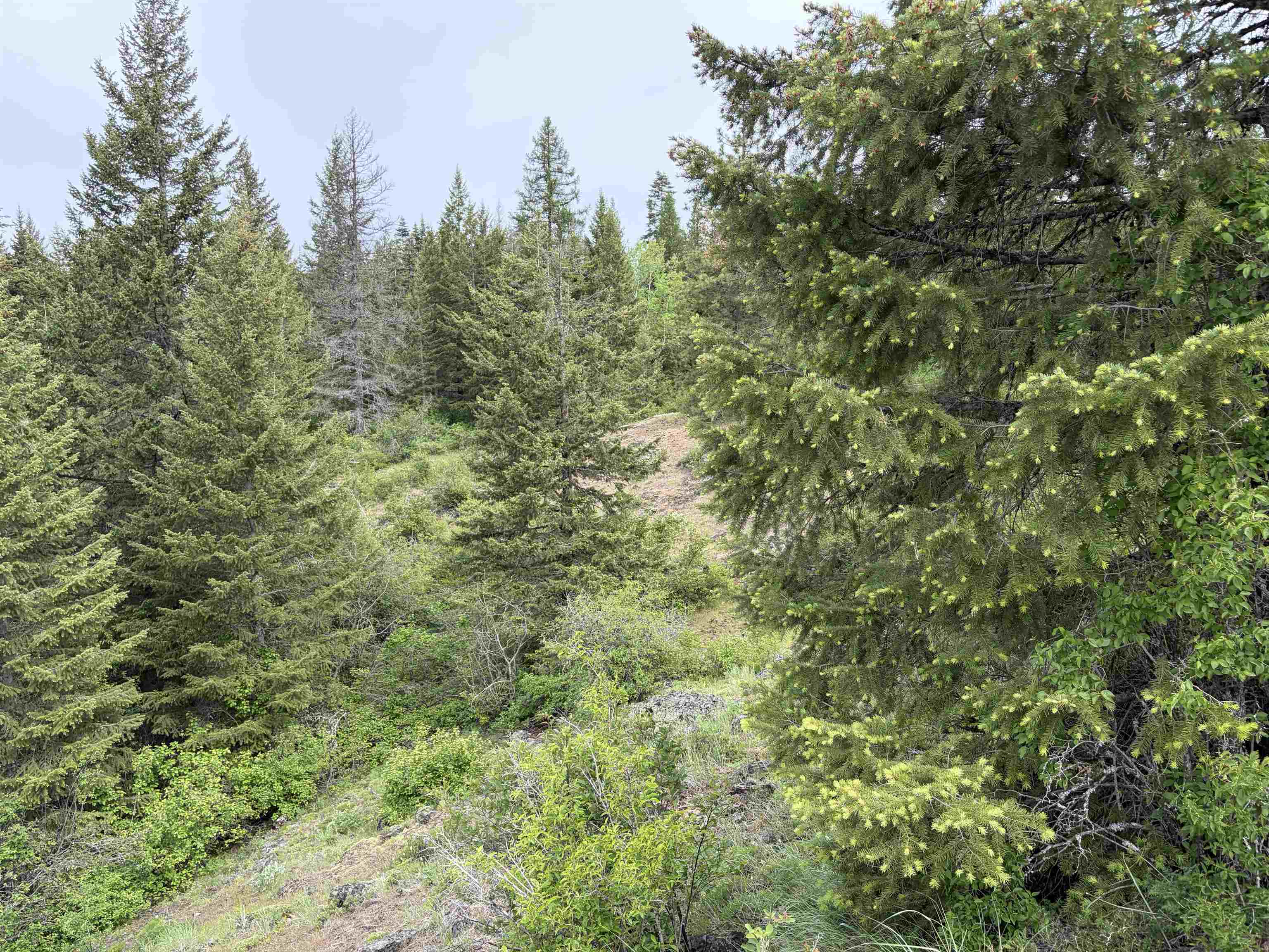 NKA Lookout Rd - Photo 8