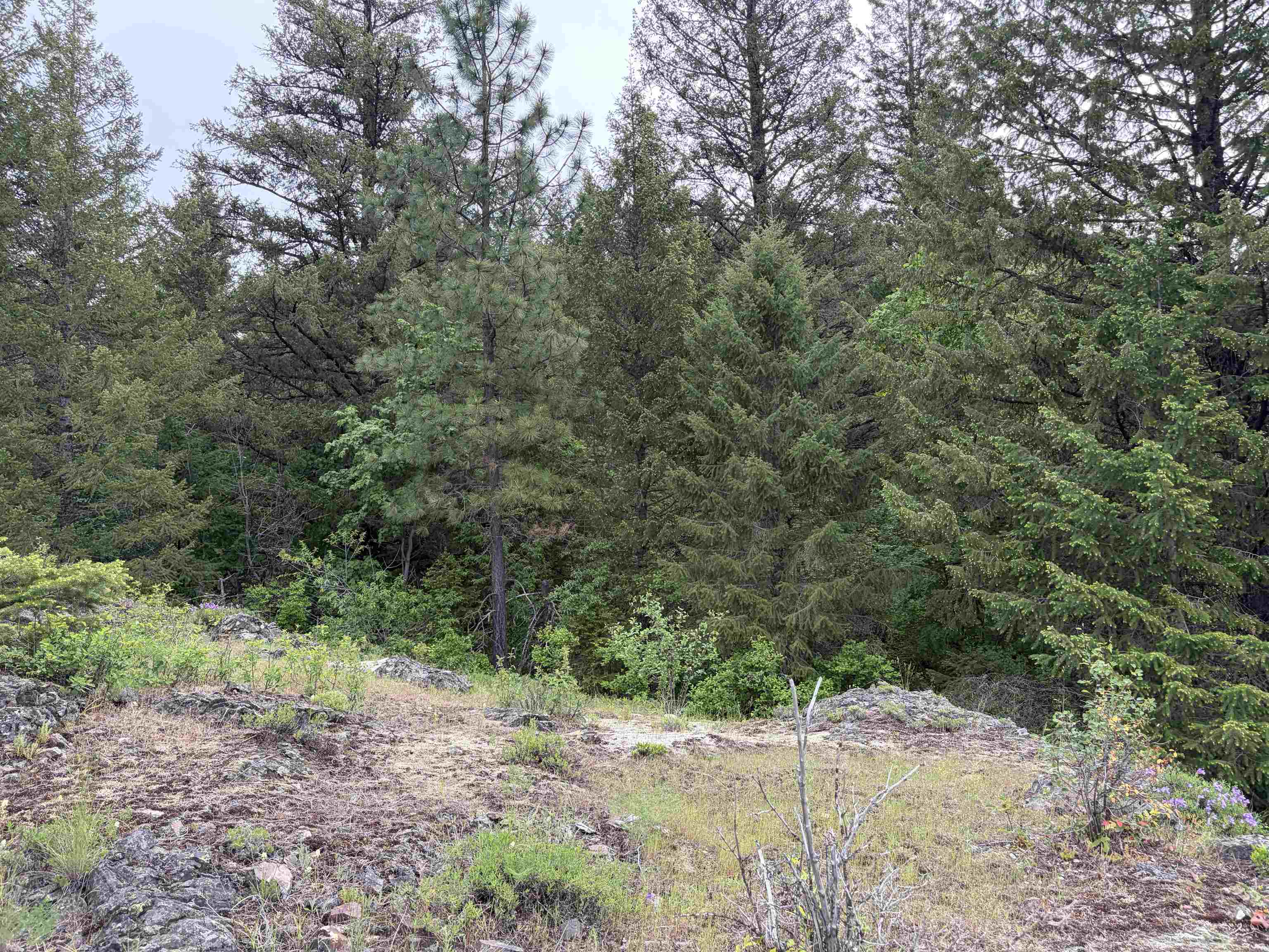 NKA Lookout Rd - Photo 9