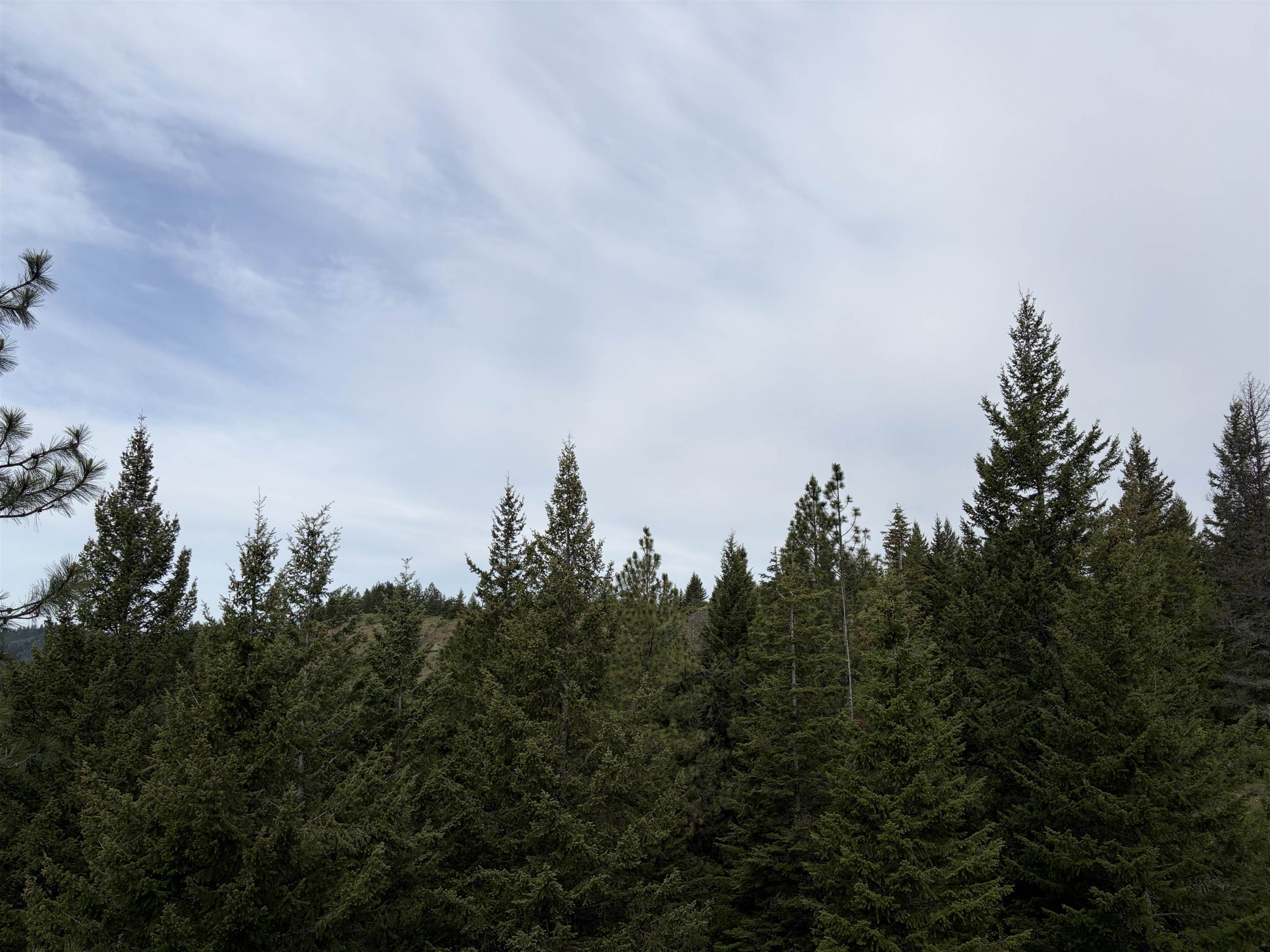 NKA Lookout Rd - Photo 10