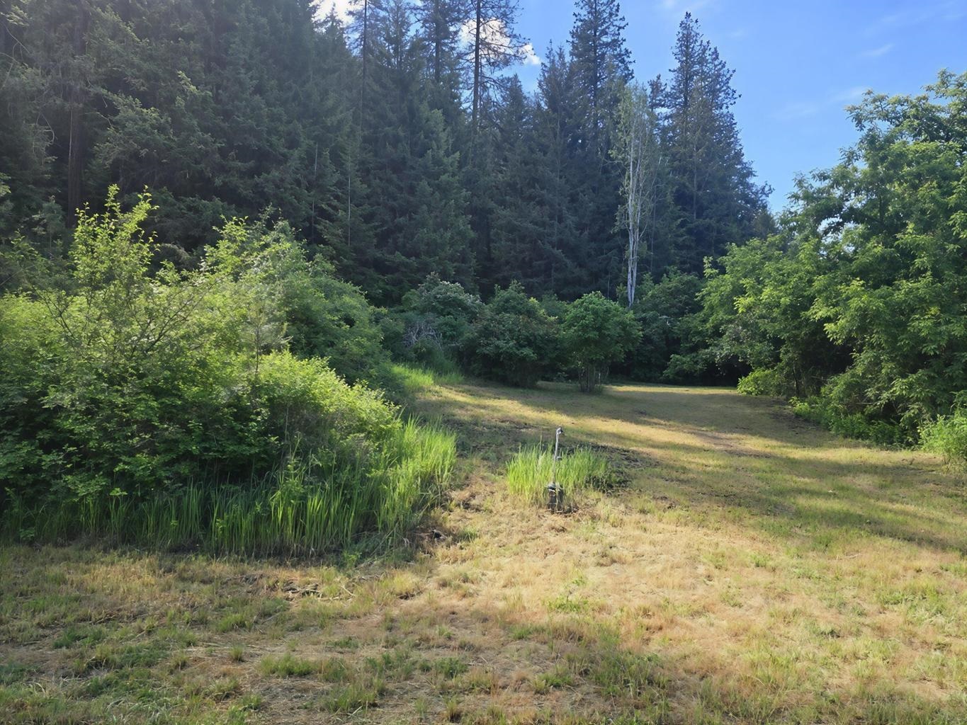 1612 Rickey Canyon Rd - Photo 30