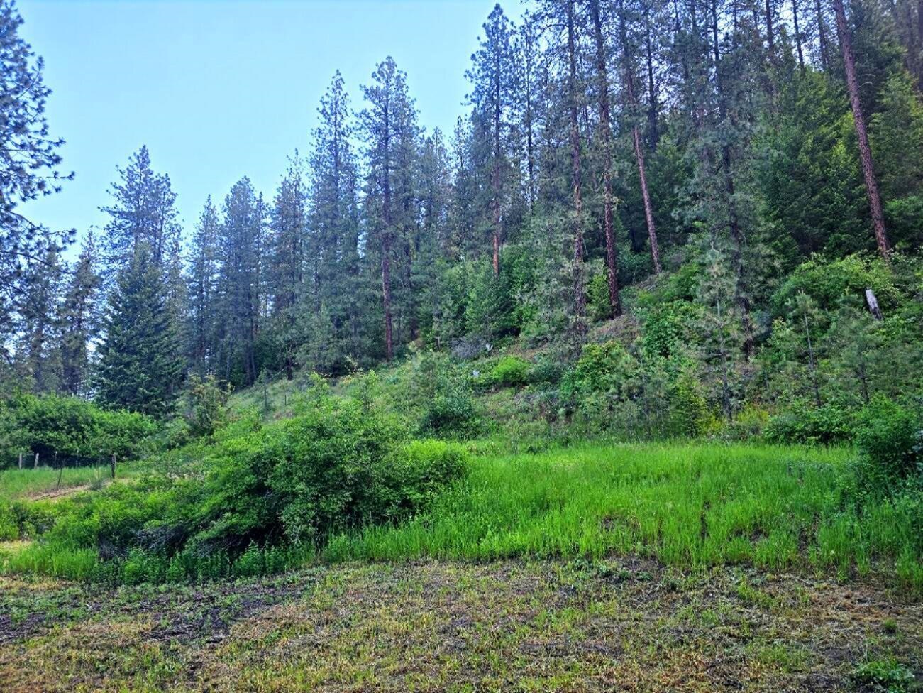 1612 Rickey Canyon Rd - Photo 31