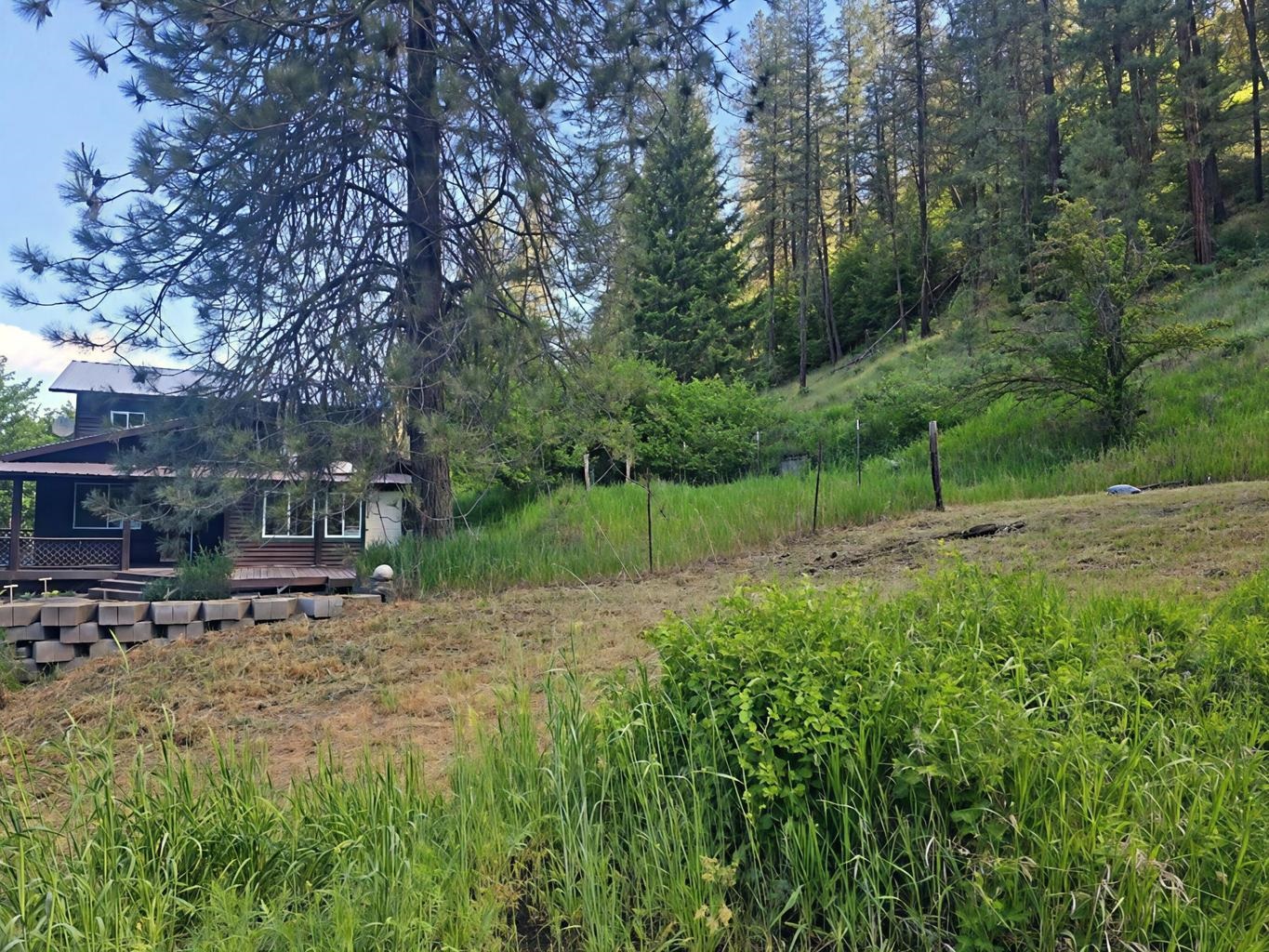 1612 Rickey Canyon Rd - Photo 32
