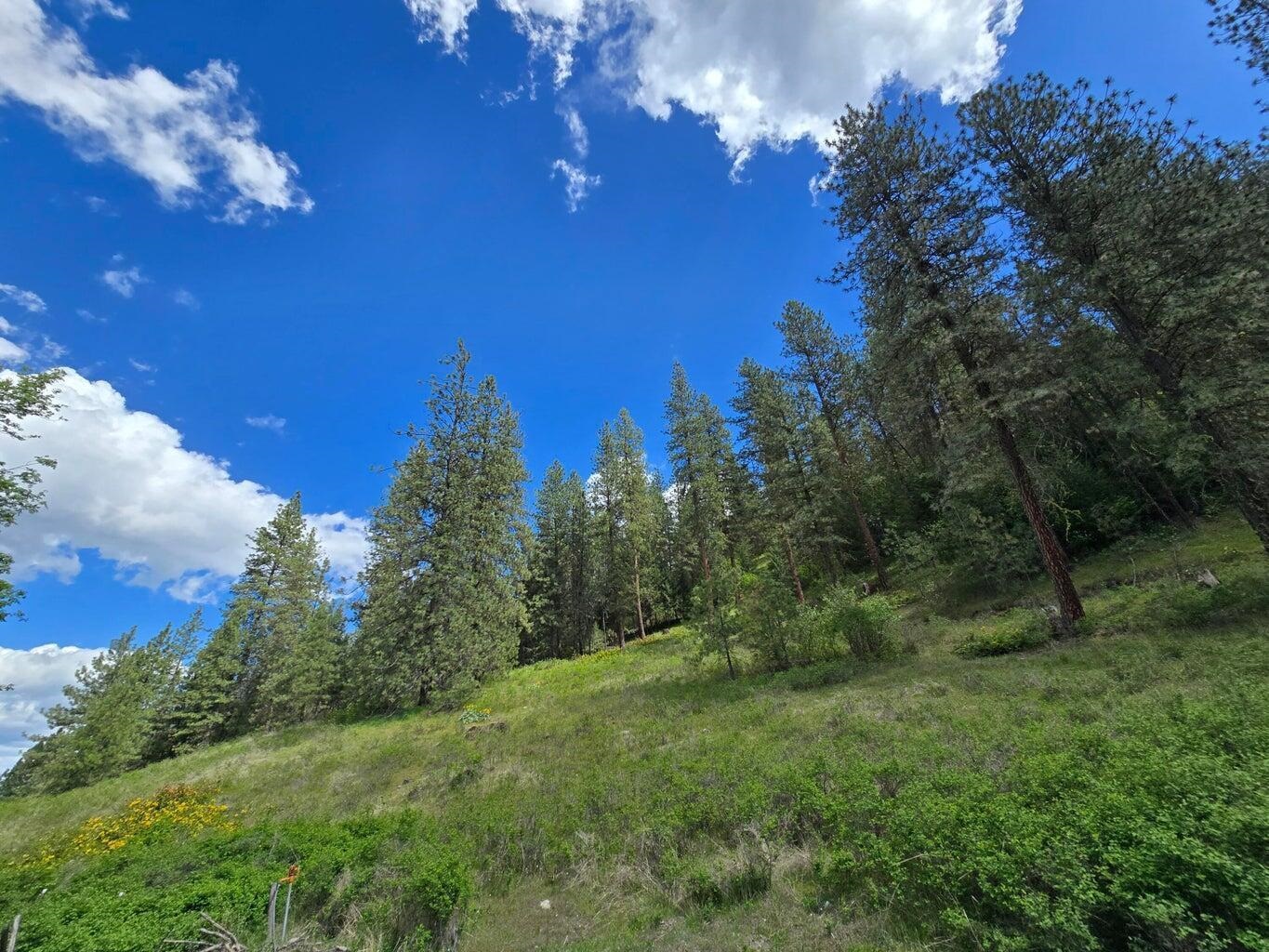 1612 Rickey Canyon Rd - Photo 33