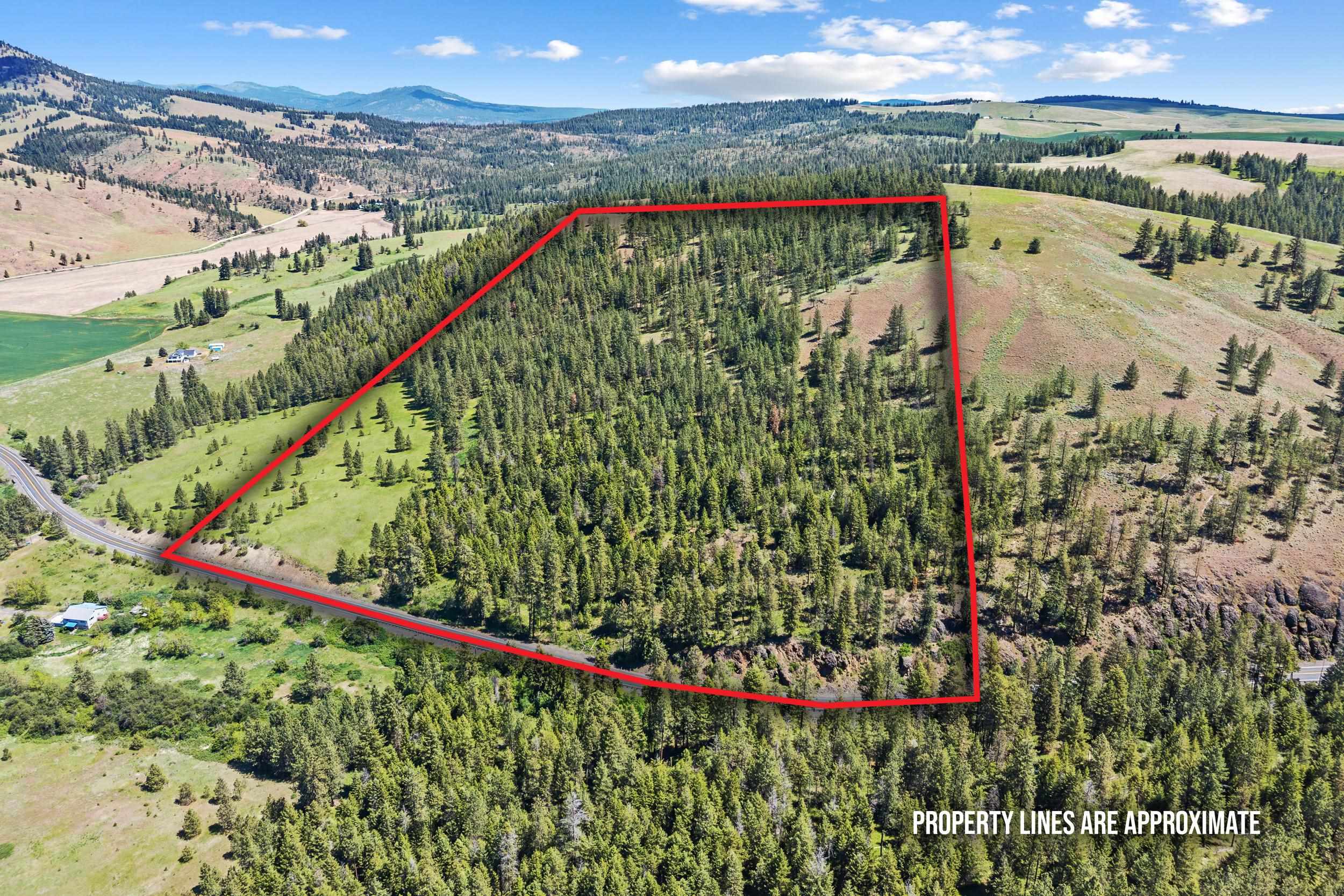 42000 N Hwy 25 Hwy - Photo 1