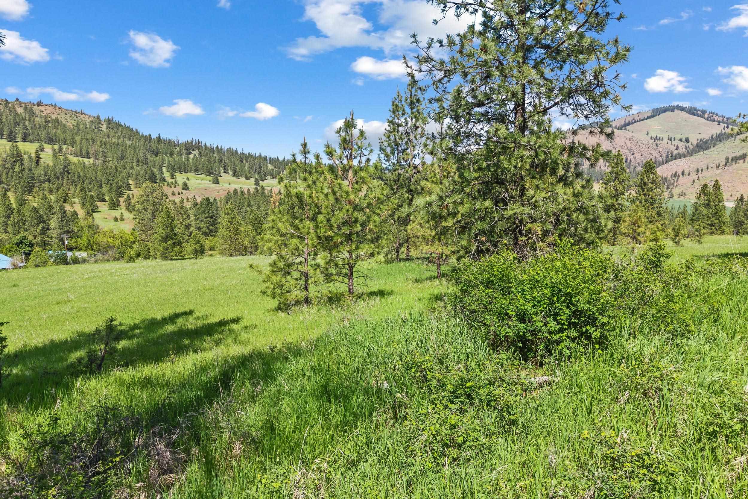 42000 N Hwy 25 Hwy - Photo 12