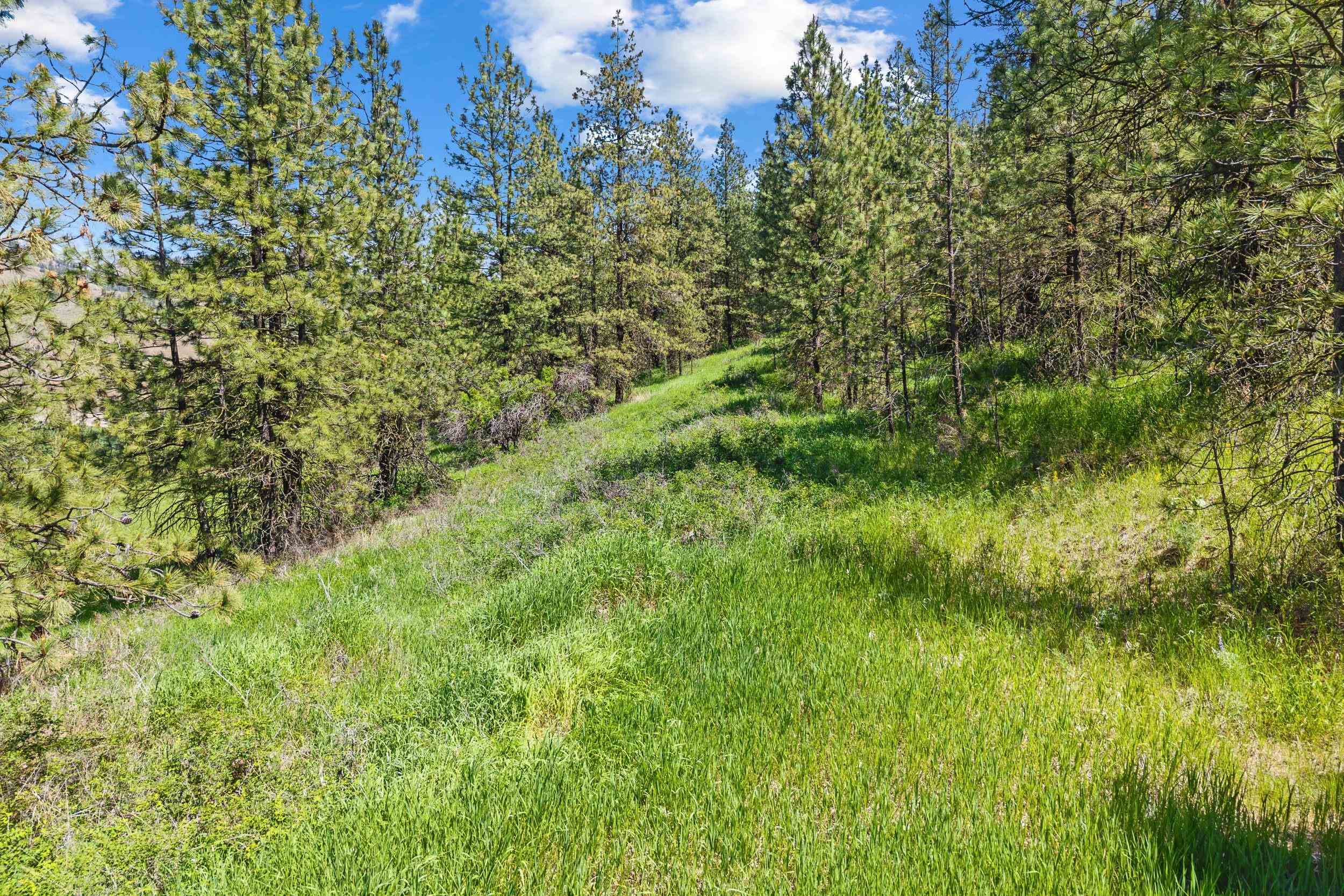 42000 N Hwy 25 Hwy - Photo 13
