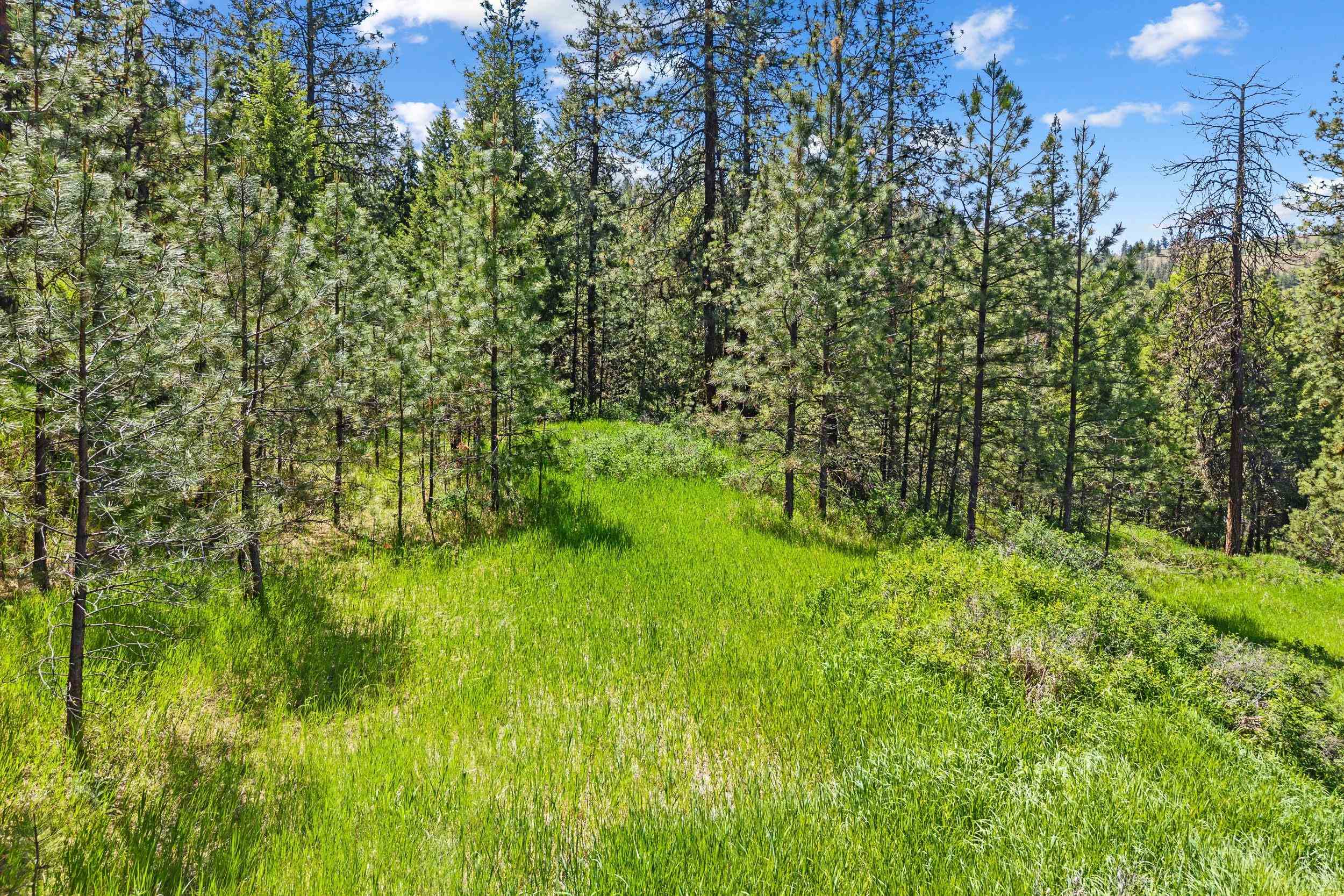 42000 N Hwy 25 Hwy - Photo 14