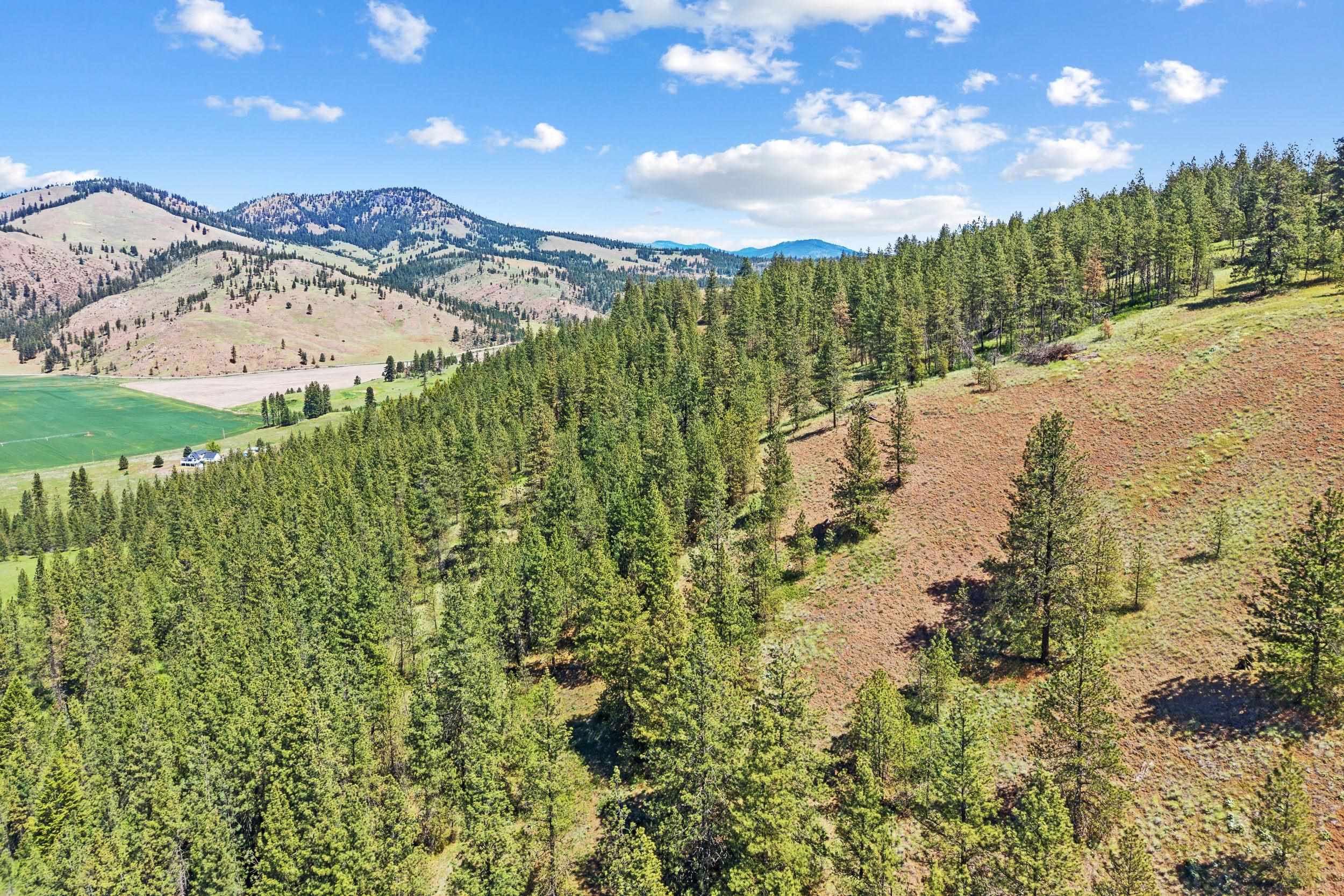 42000 N Hwy 25 Hwy - Photo 19