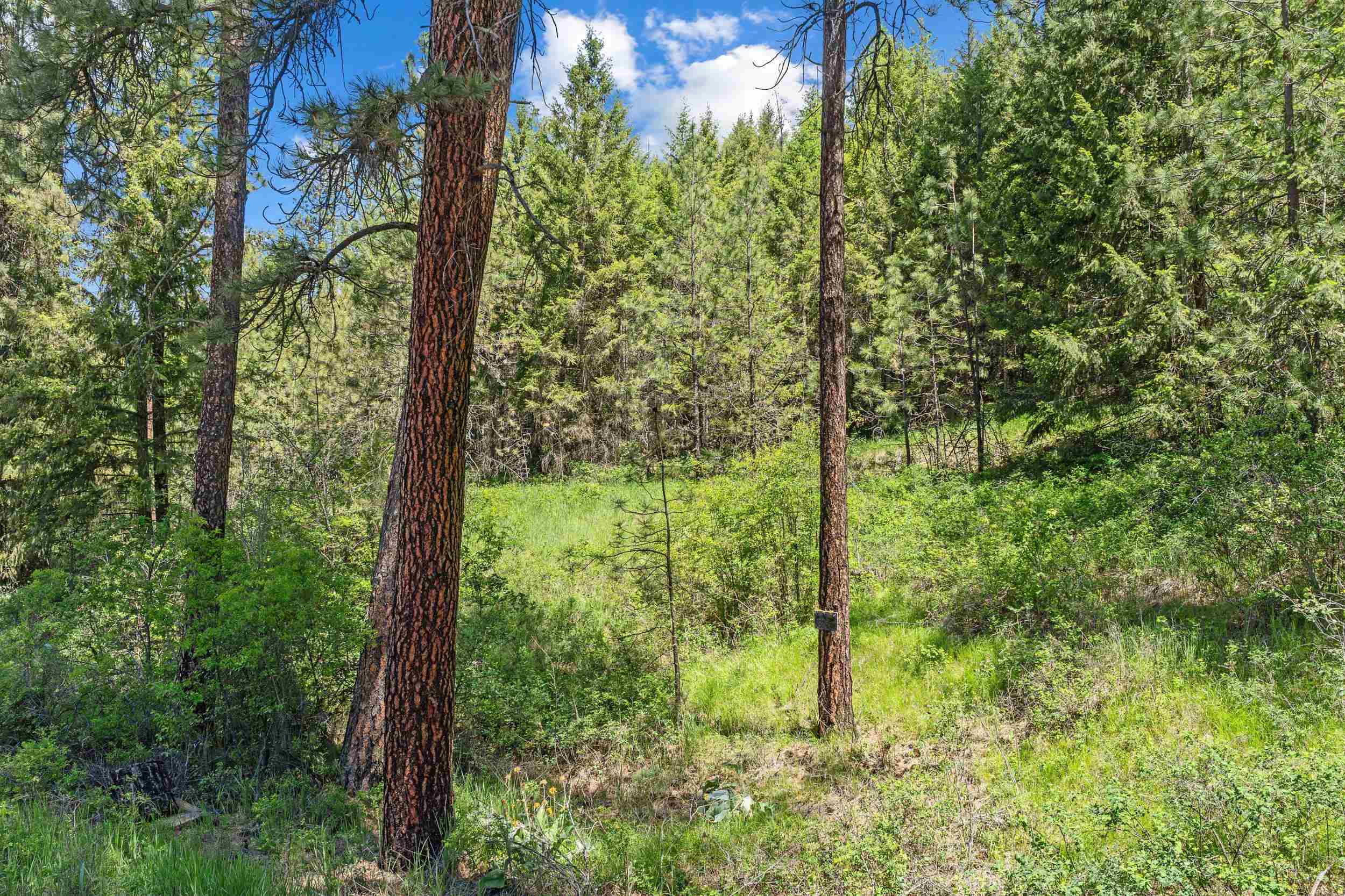 42000 N Hwy 25 Hwy - Photo 21