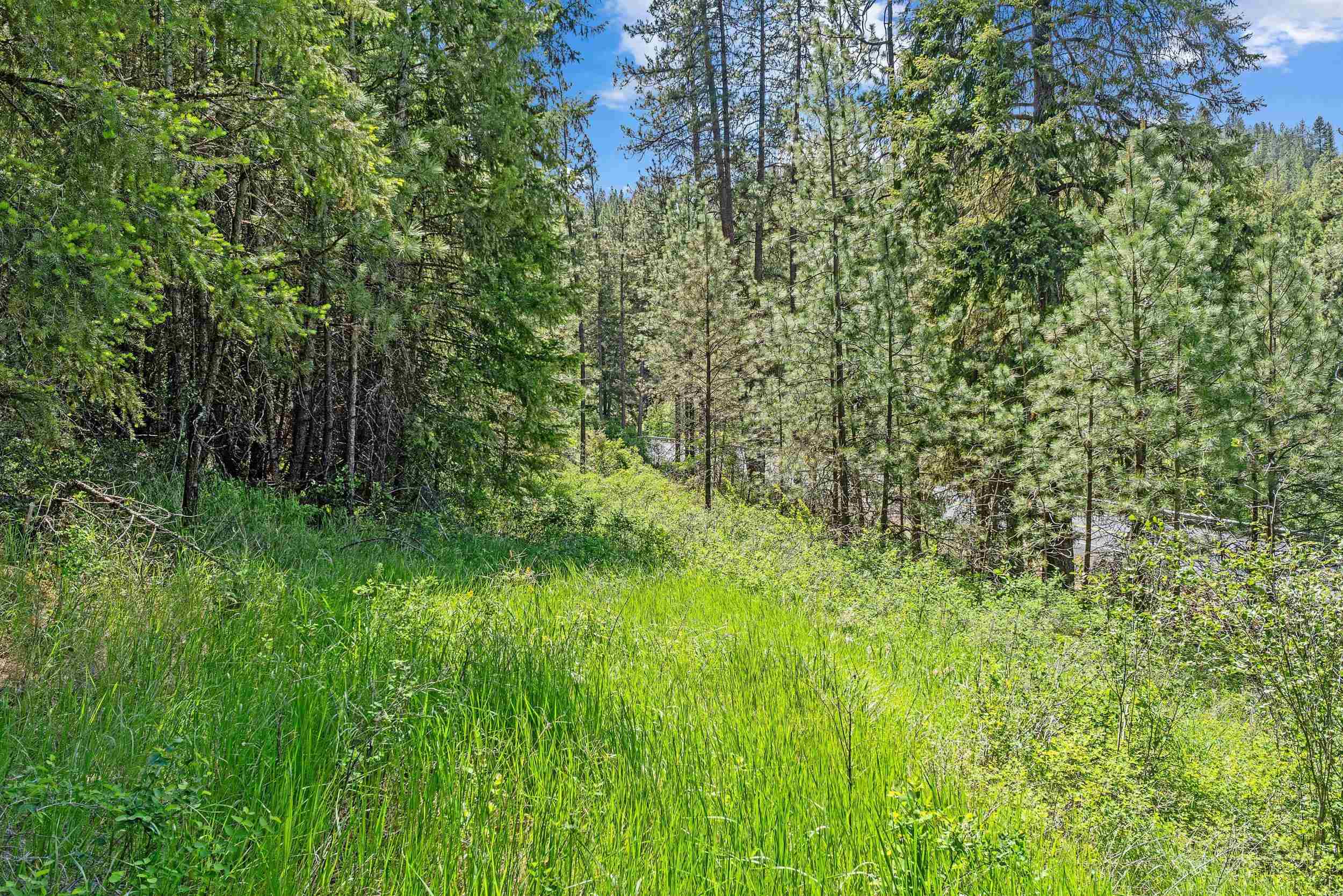 42000 N Hwy 25 Hwy - Photo 22