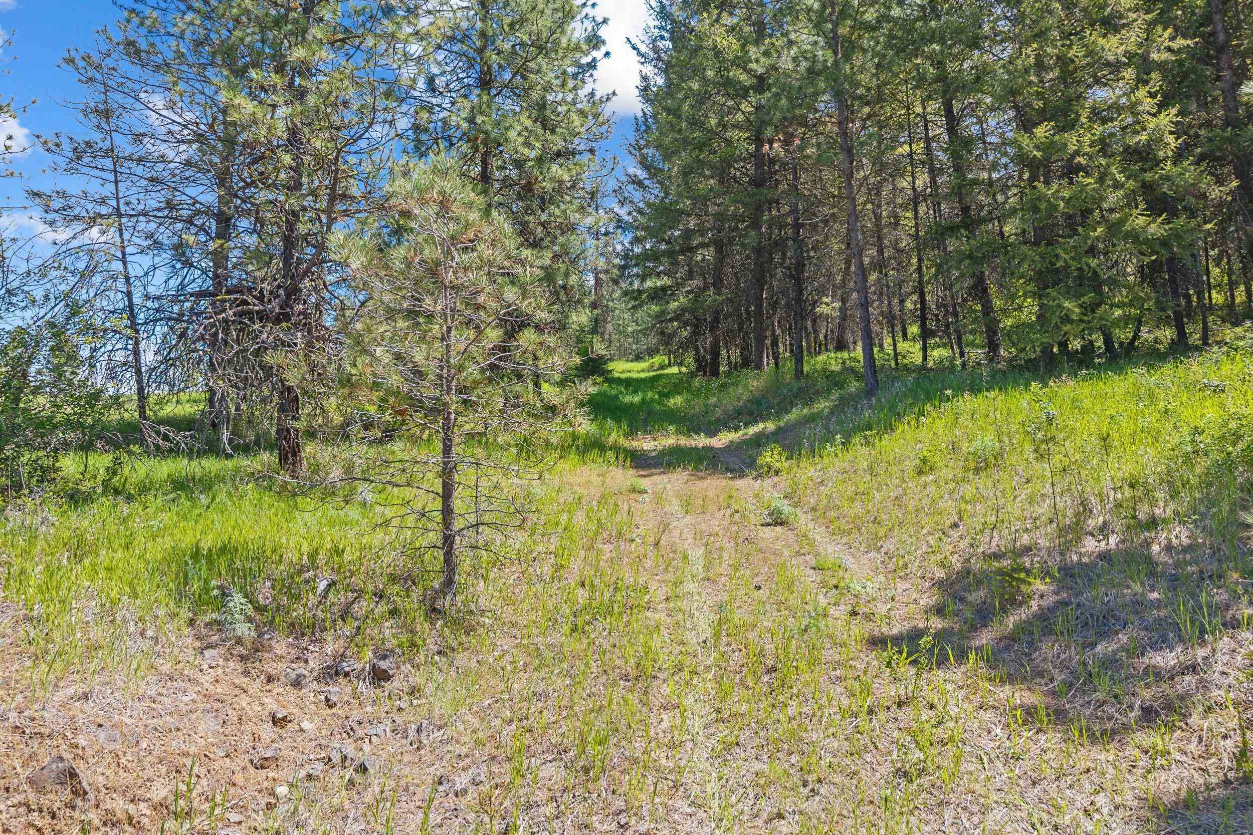 42000 N Hwy 25 Hwy - Photo 5