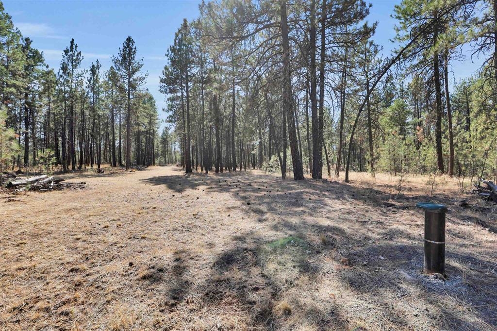 16619 S Sherman Rd - Photo 1