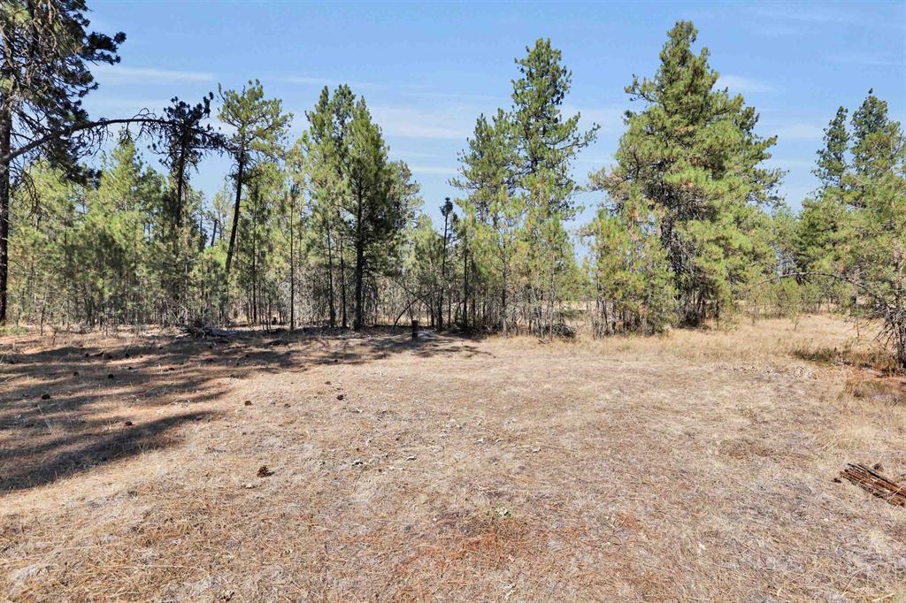 16619 S Sherman Rd - Photo 3