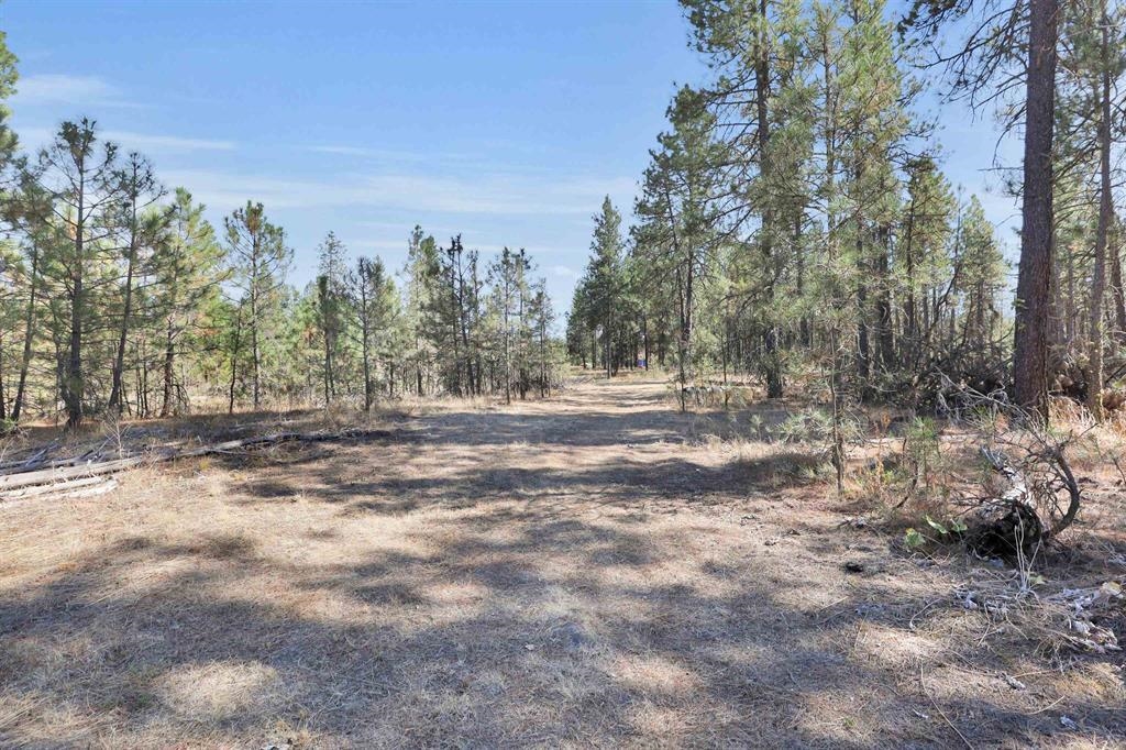 16619 S Sherman Rd - Photo 4