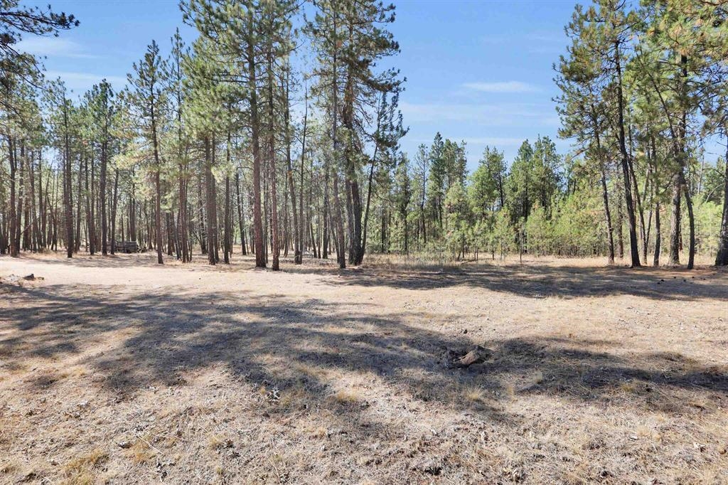 16619 S Sherman Rd - Photo 5