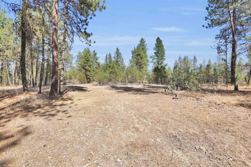 16619 S Sherman Rd - Photo 6