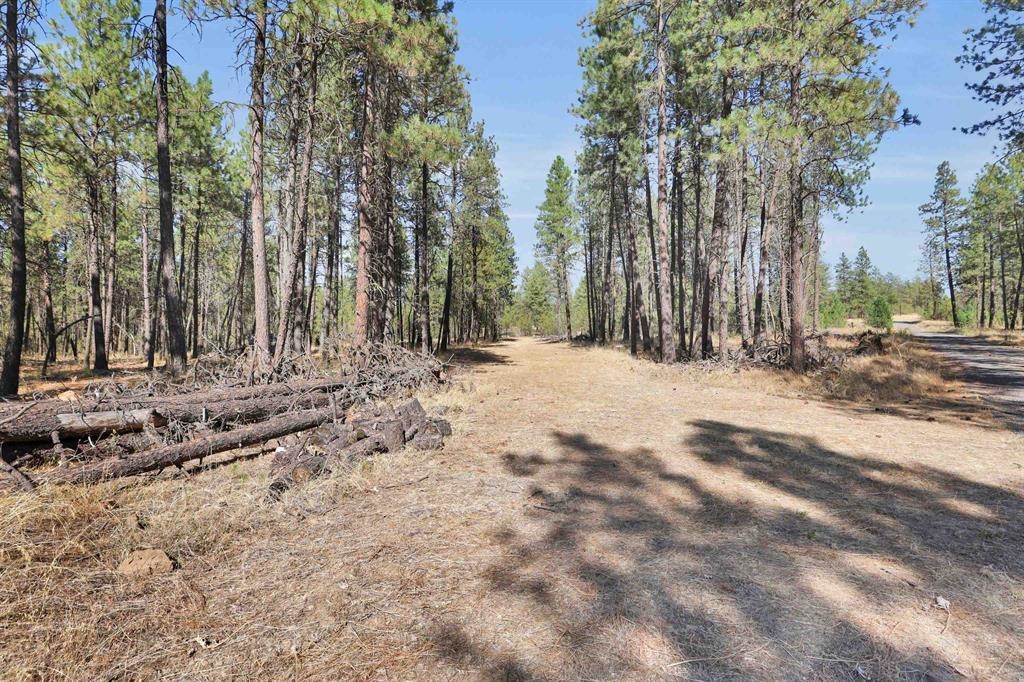 16619 S Sherman Rd - Photo 8