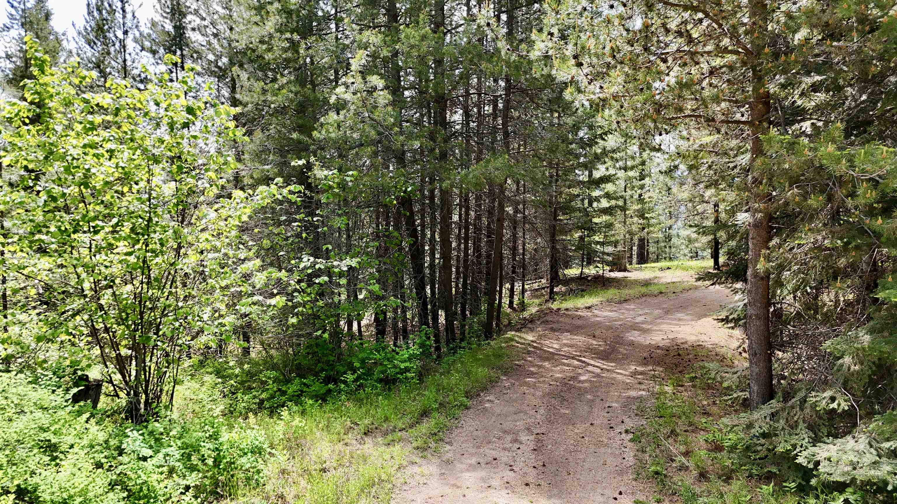 NKA Scenic Ln - Photo 7