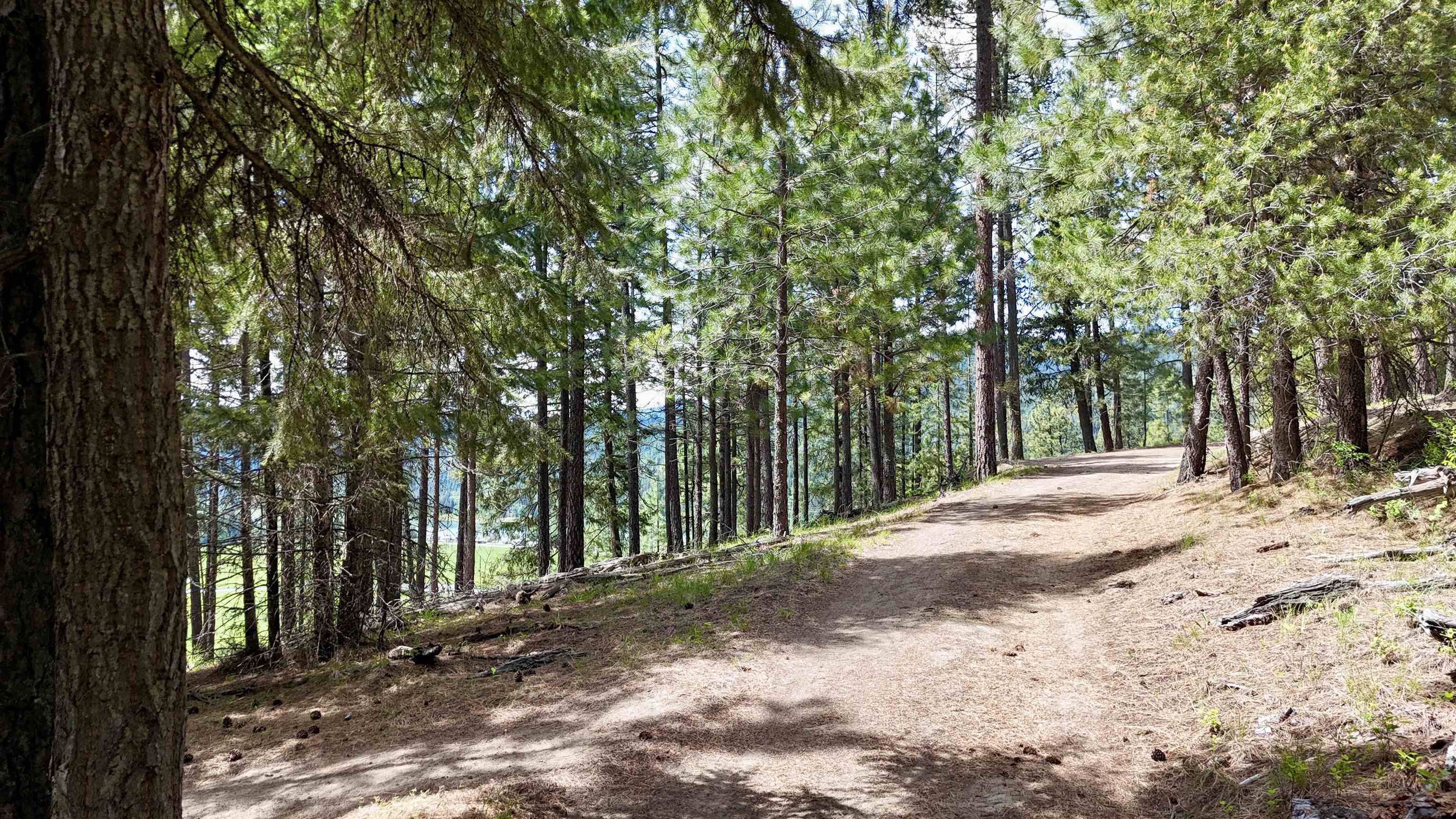 NKA Scenic Ln - Photo 8