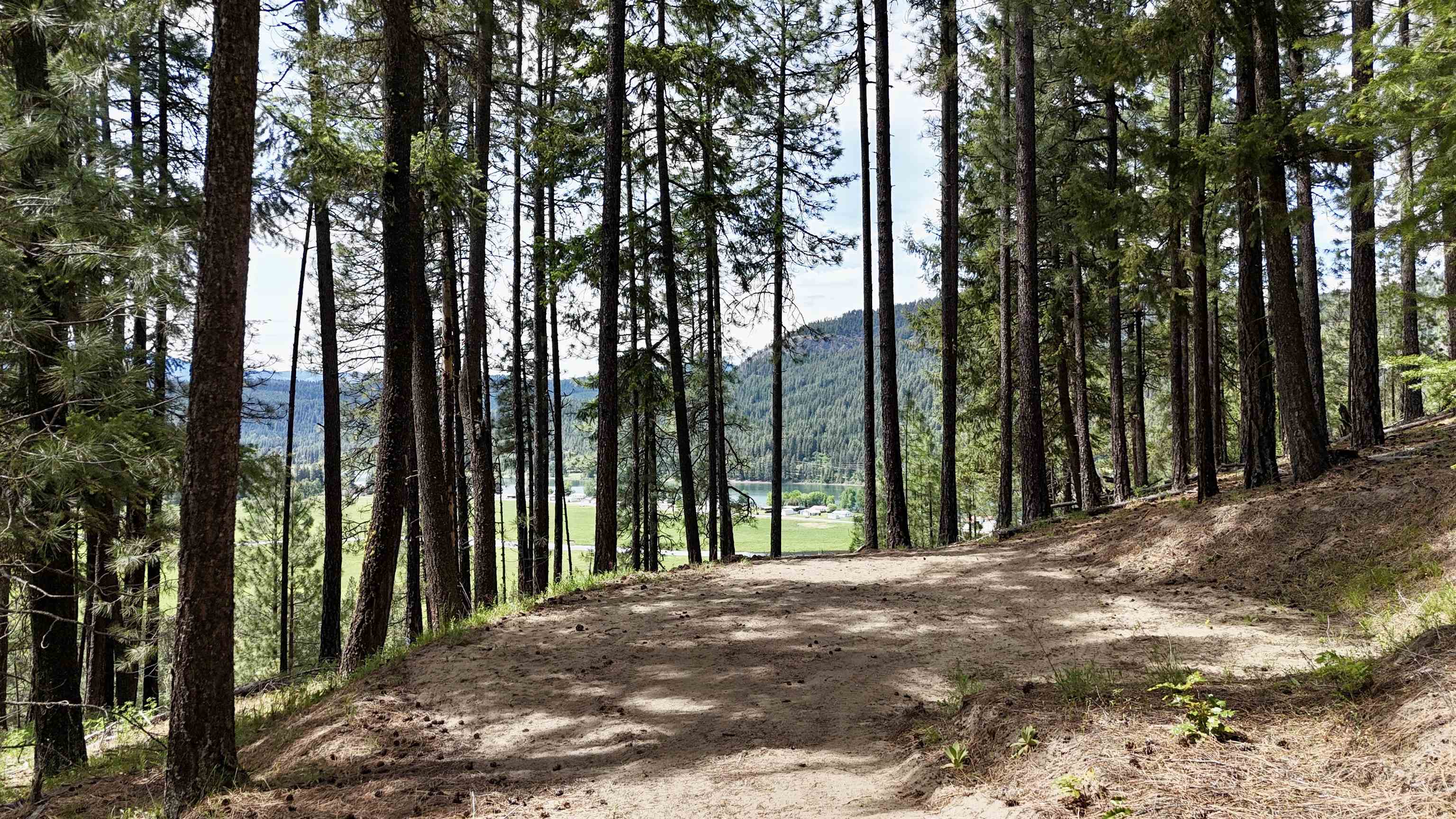 NKA Scenic Ln - Photo 9