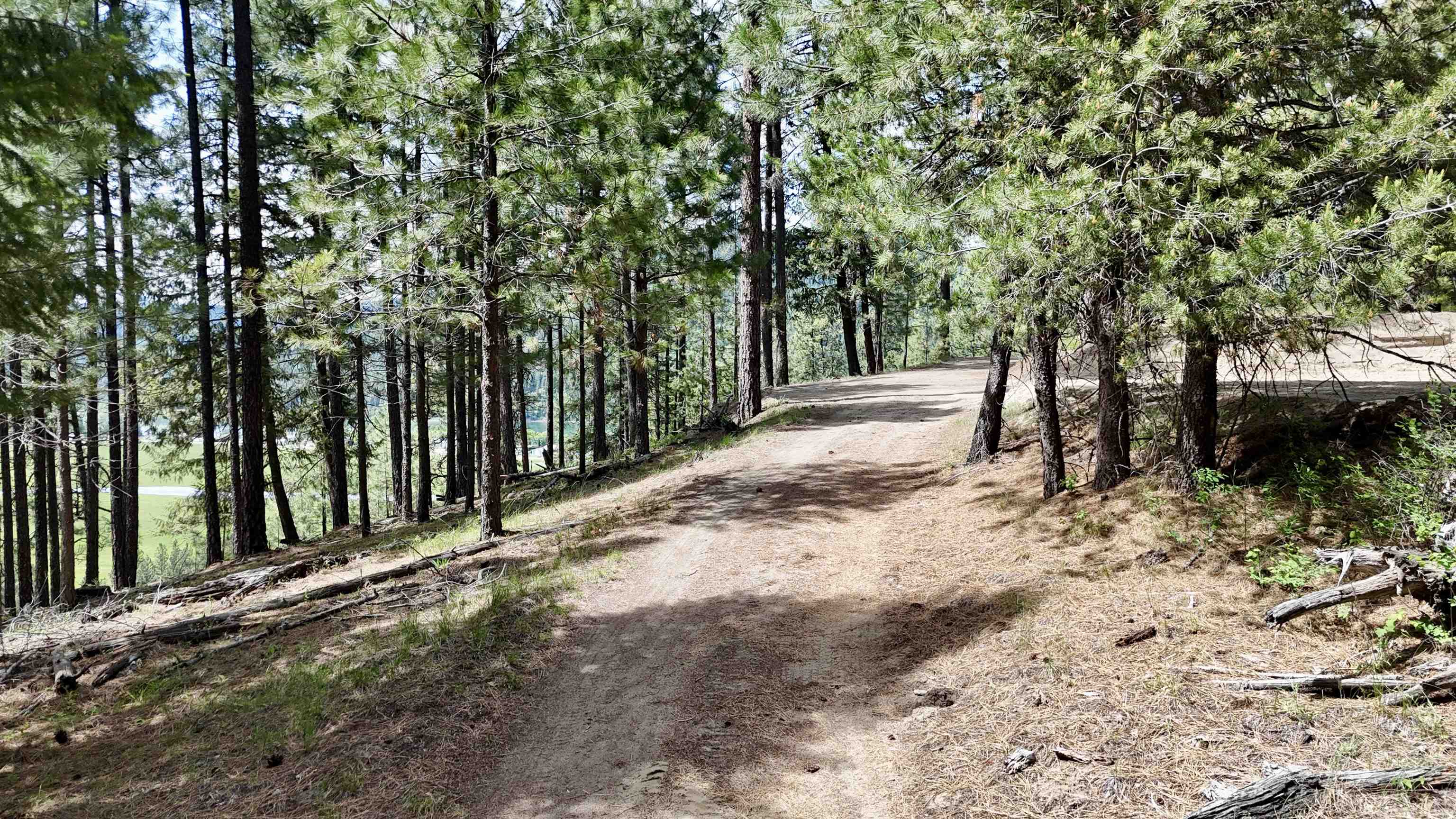 NKA Scenic Ln - Photo 10