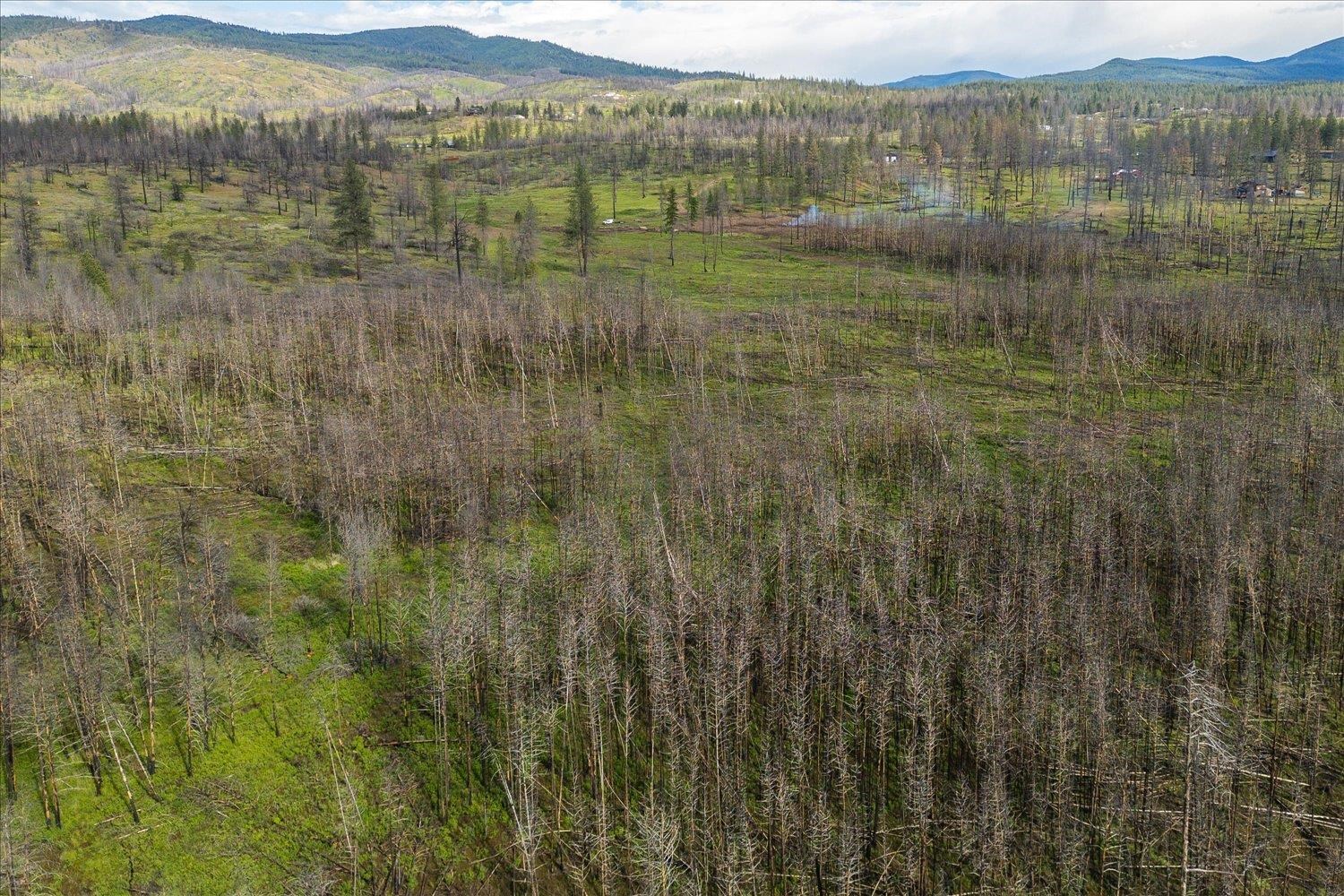 13801 E Bridges Rd - Photo 5