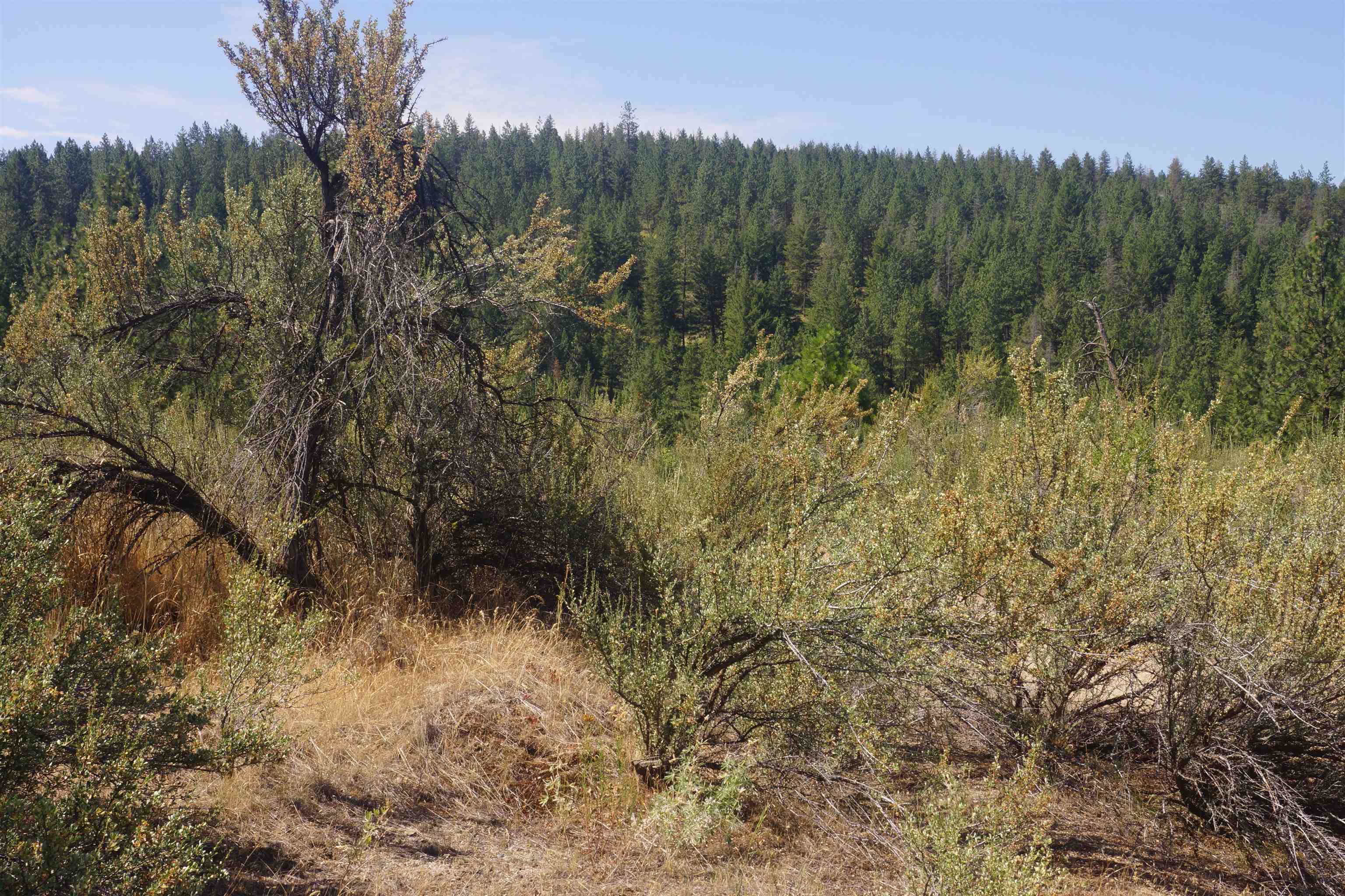Lot 24 E Timberbay Dr - Photo 2