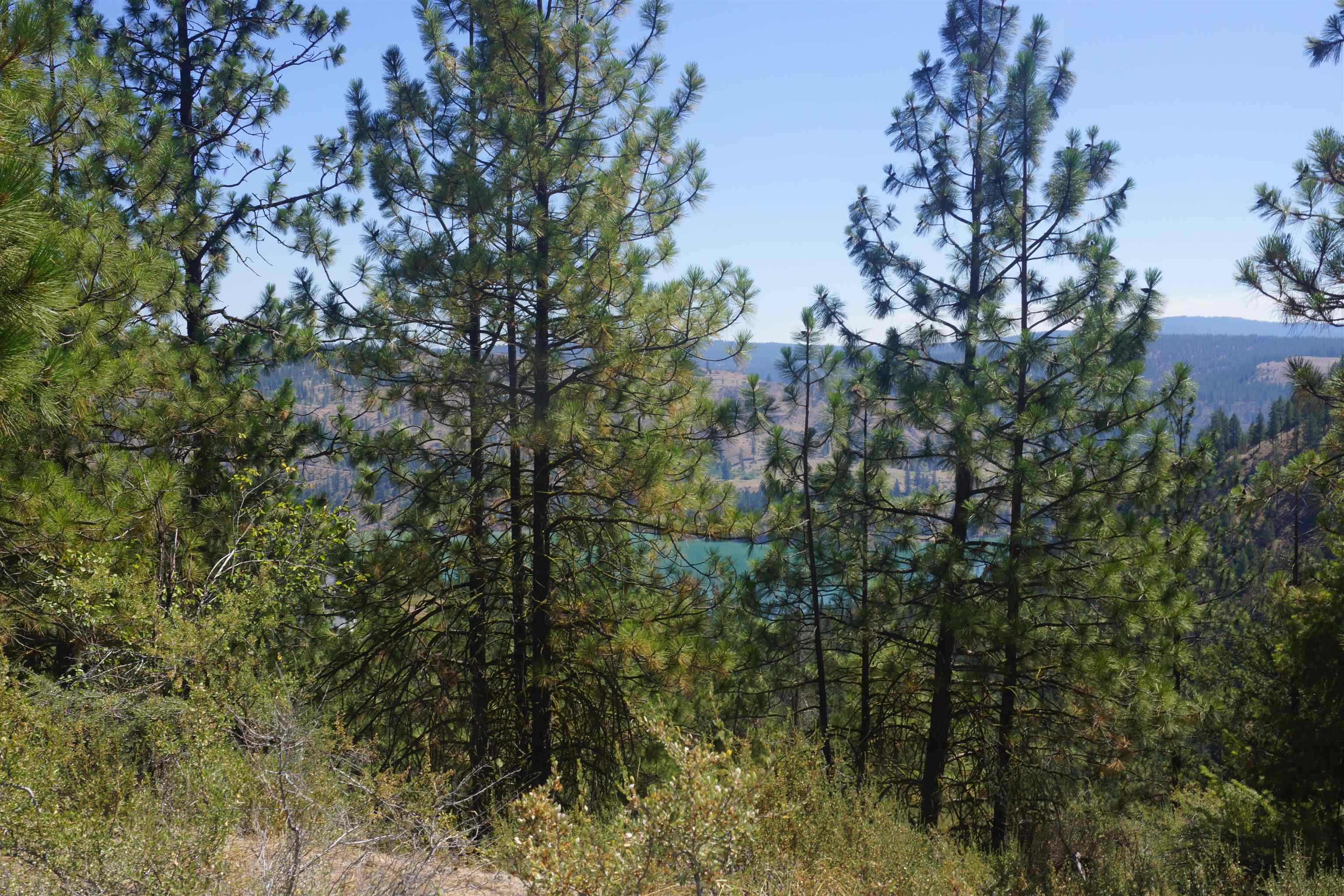 Lot 24 E Timberbay Dr - Photo 12