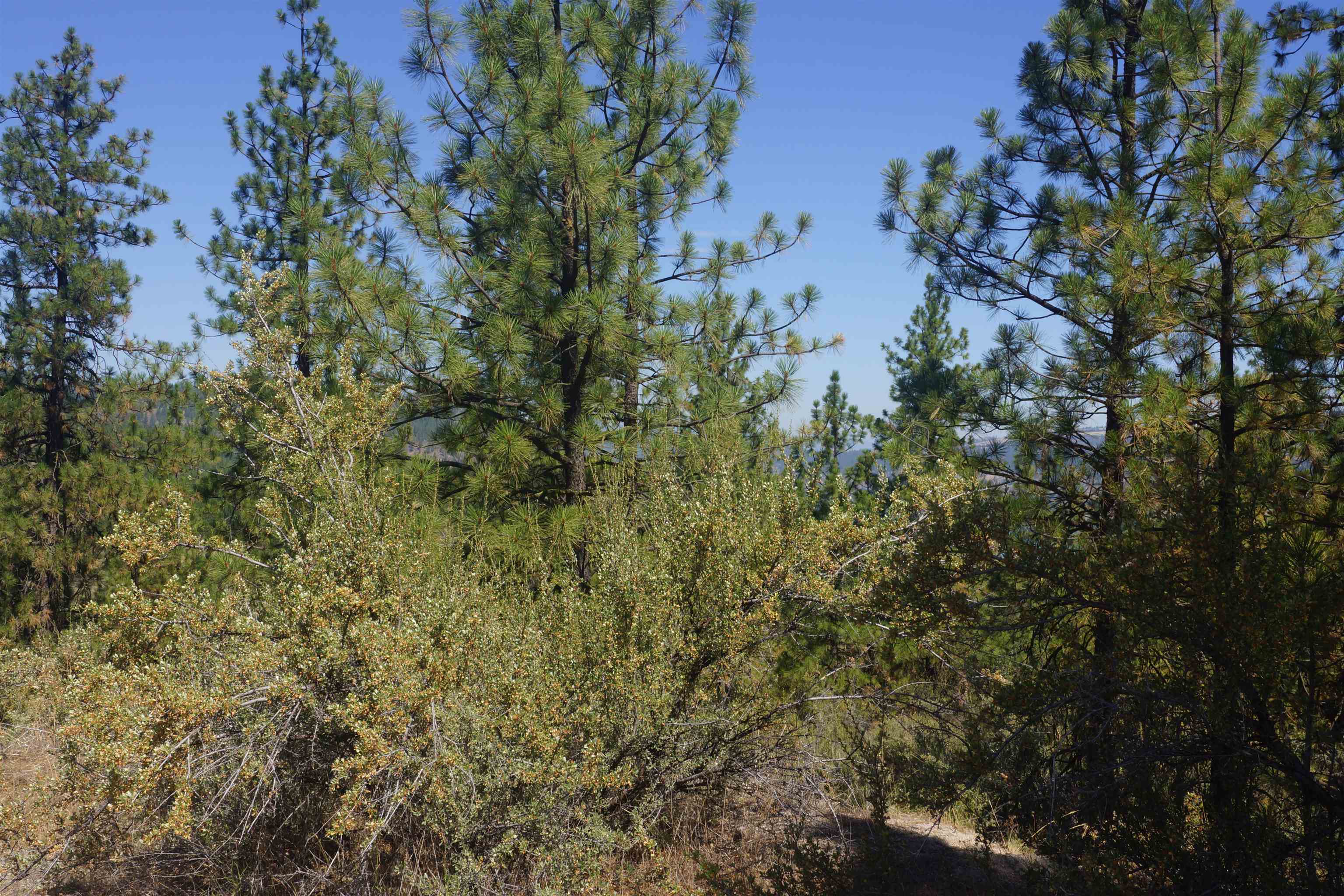 Lot 24 E Timberbay Dr - Photo 13