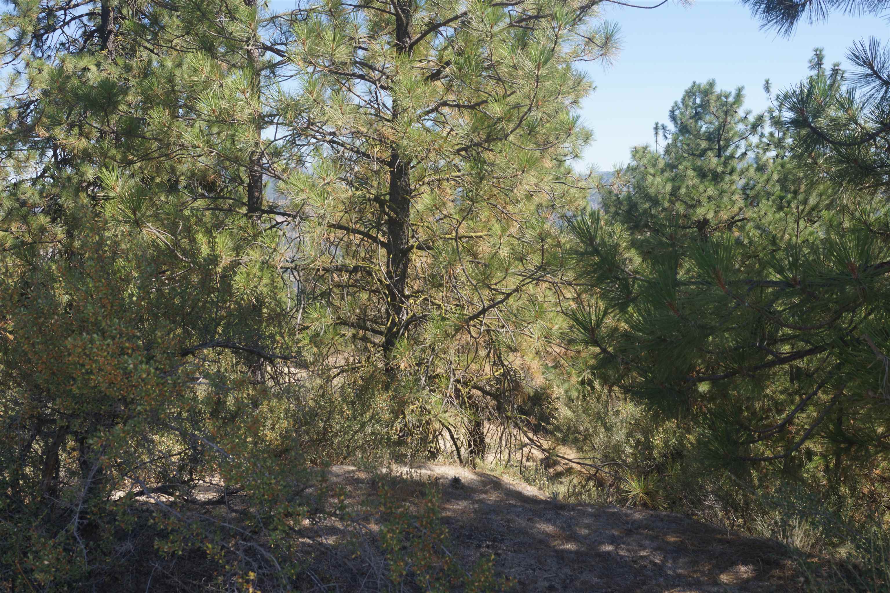 Lot 24 E Timberbay Dr - Photo 14