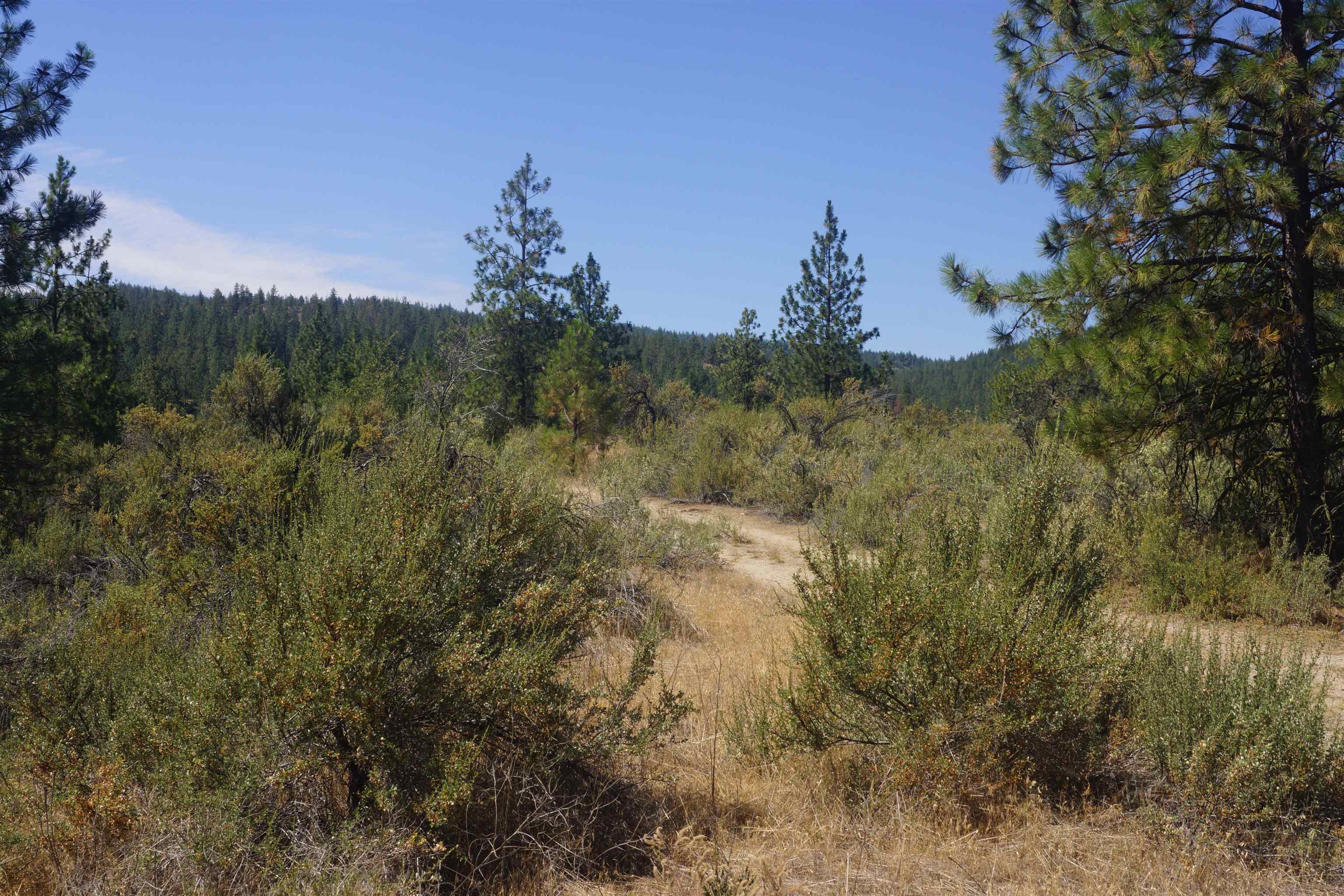 Lot 24 E Timberbay Dr - Photo 19