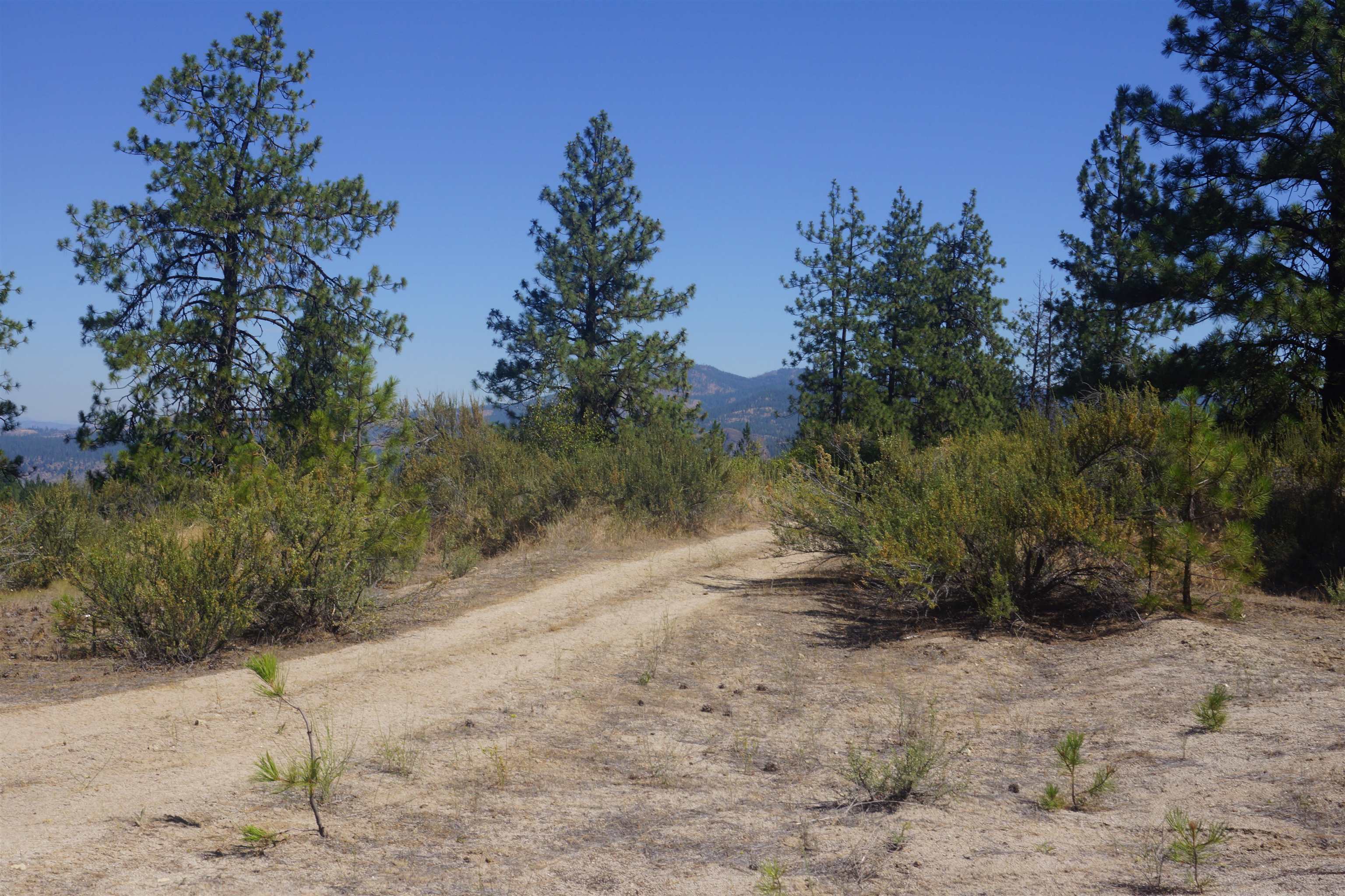 Lot 24 E Timberbay Dr - Photo 3