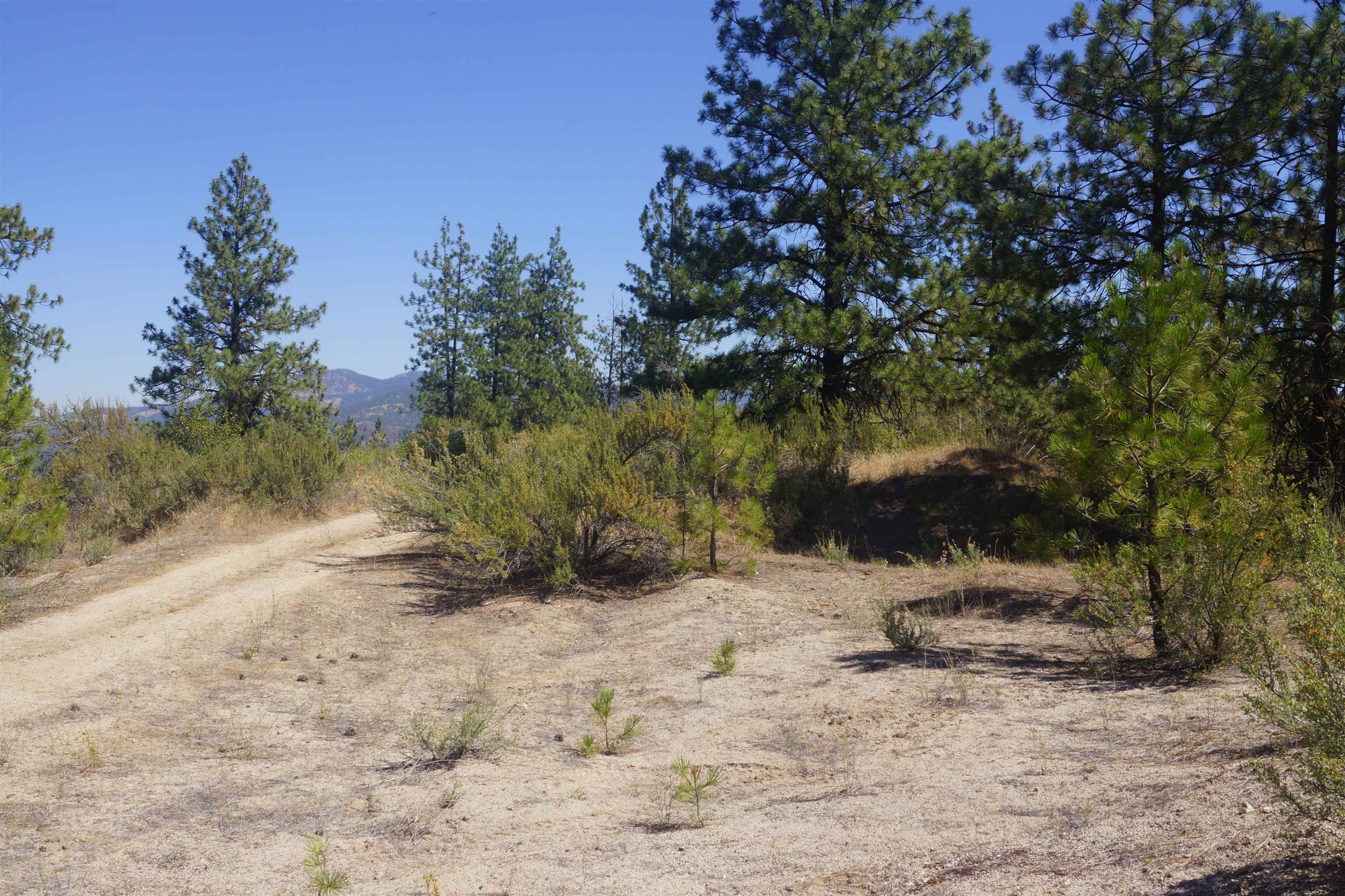 Lot 24 E Timberbay Dr - Photo 4