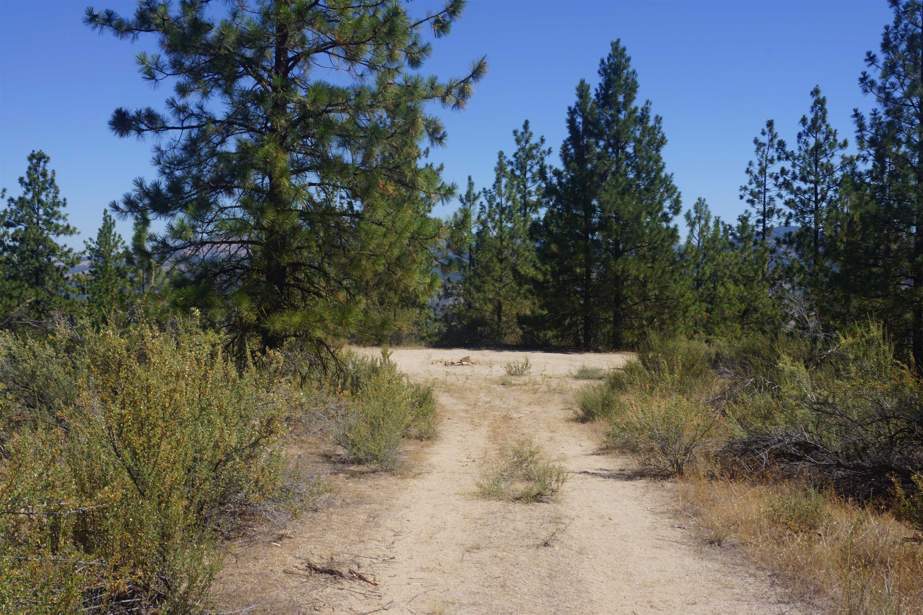 Lot 24 E Timberbay Dr - Photo 5