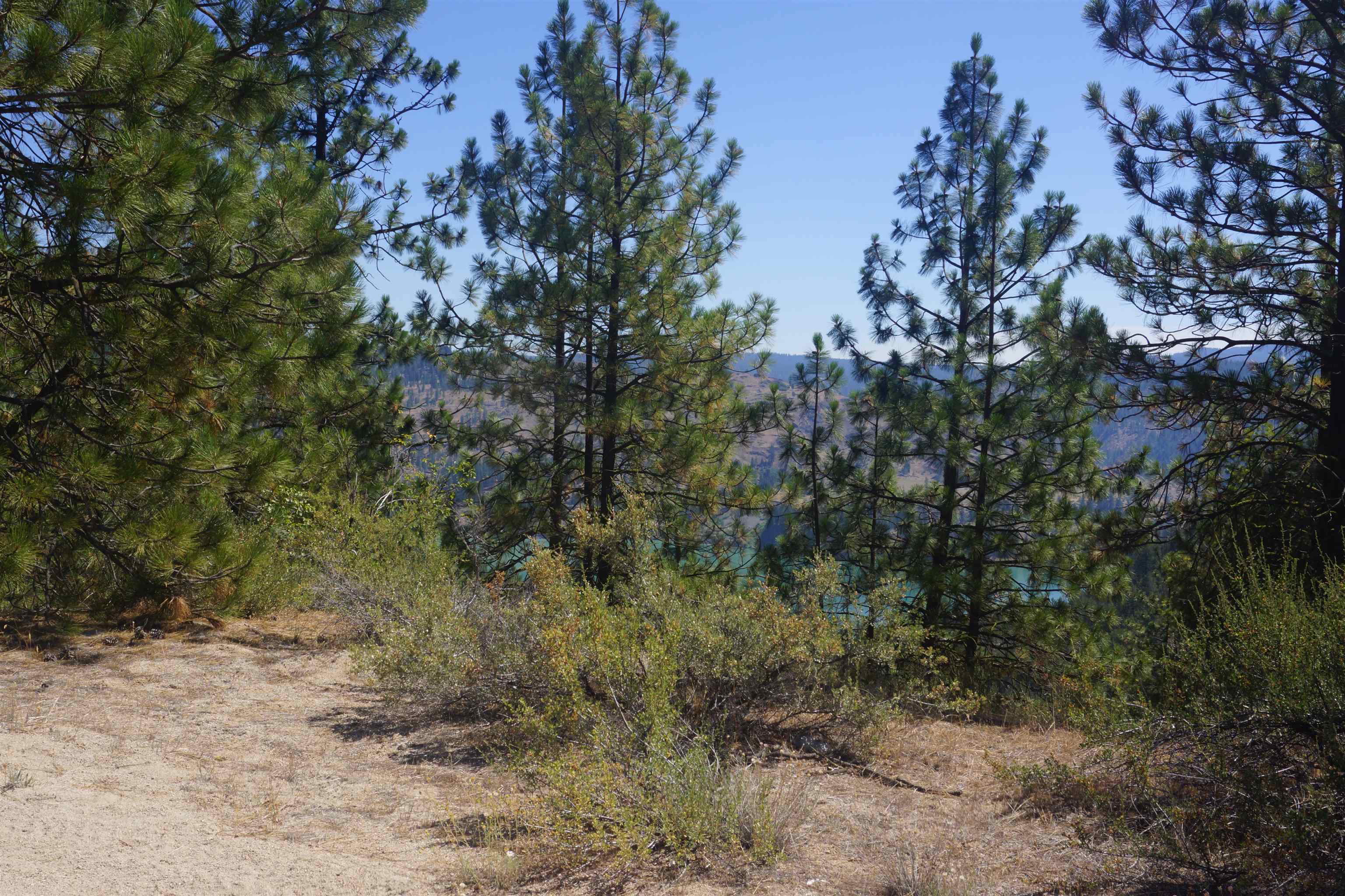 Lot 24 E Timberbay Dr - Photo 7