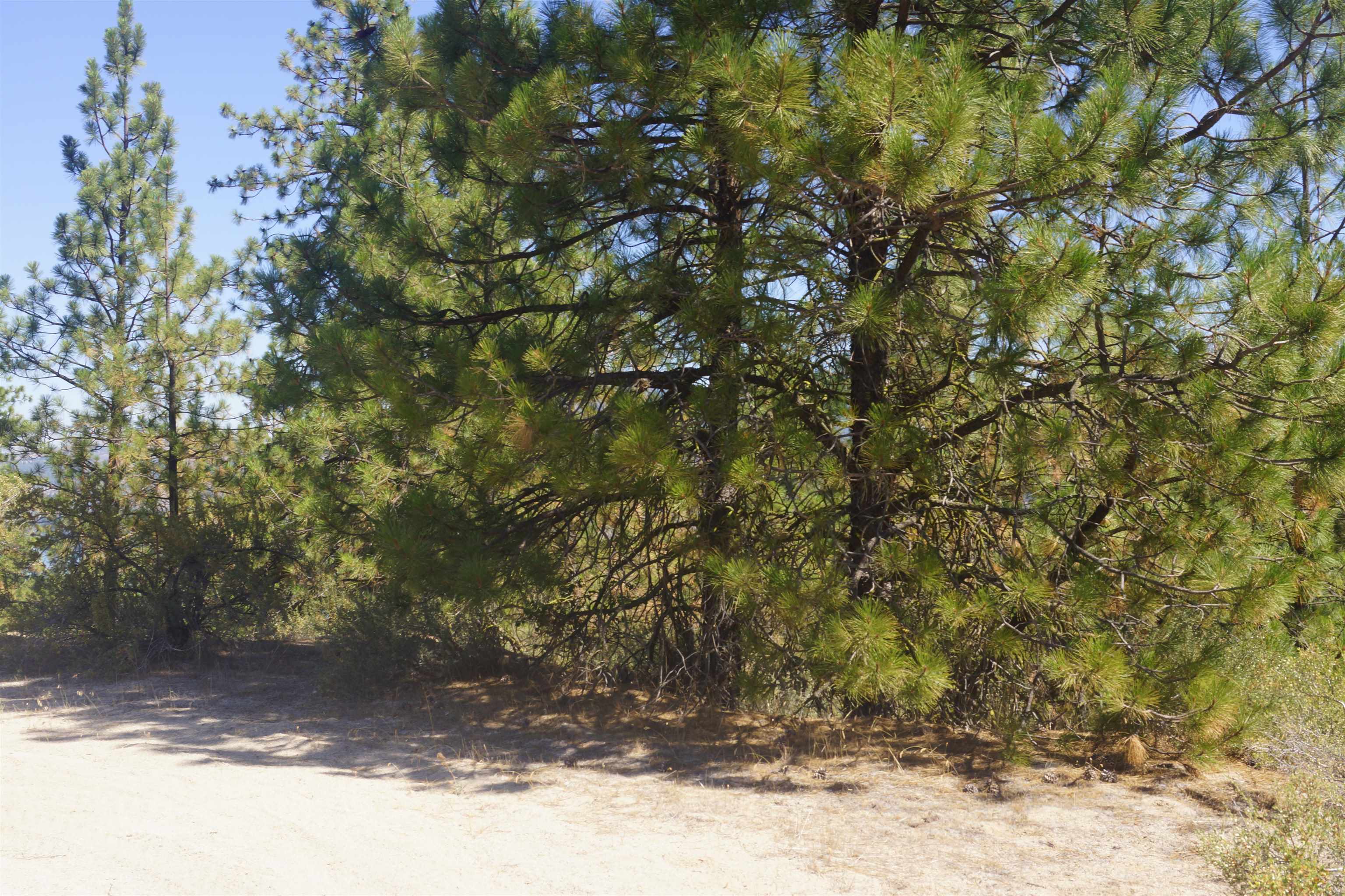 Lot 24 E Timberbay Dr - Photo 9