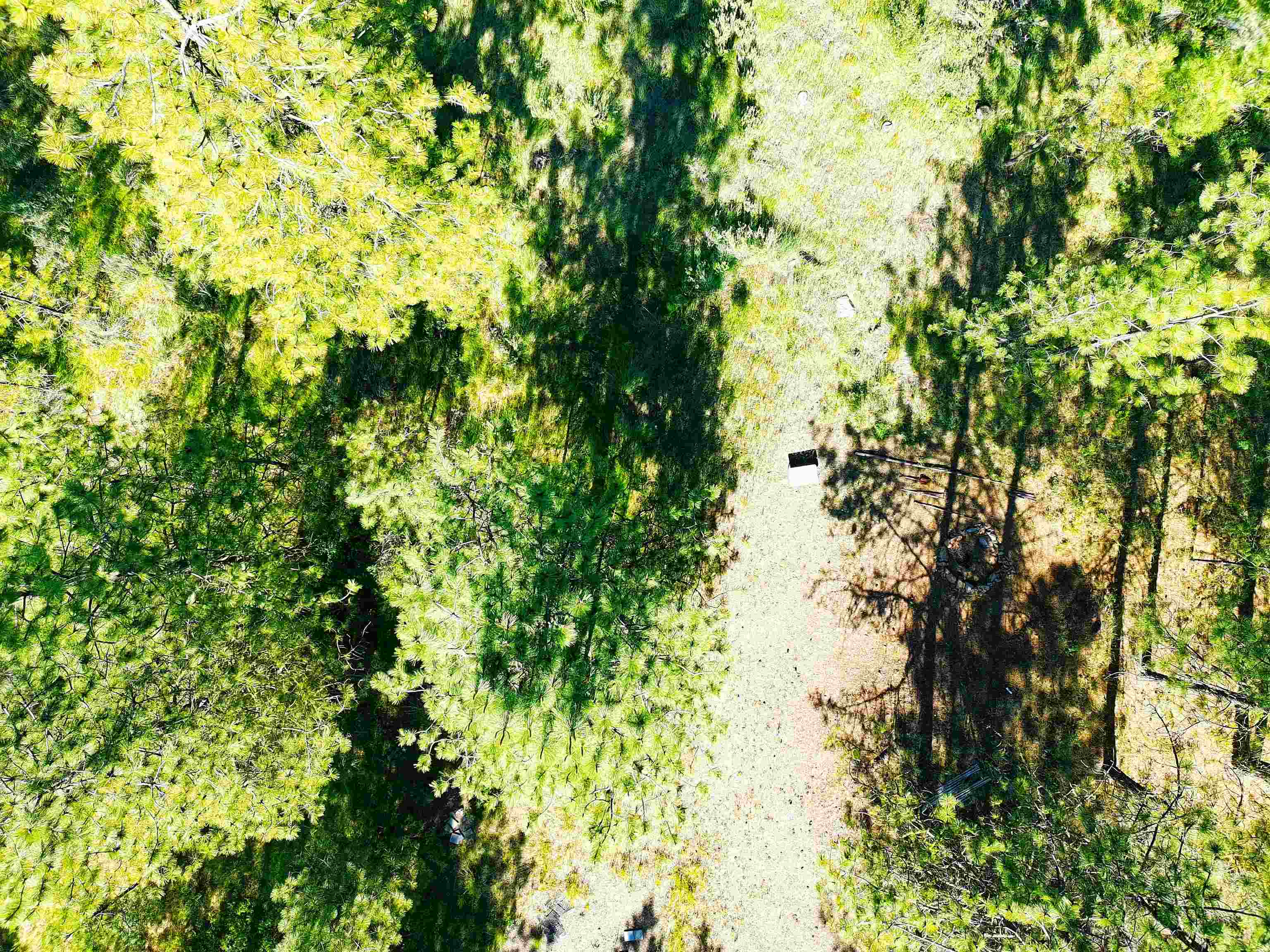 XX00 E Timberbay Dr - Photo 9
