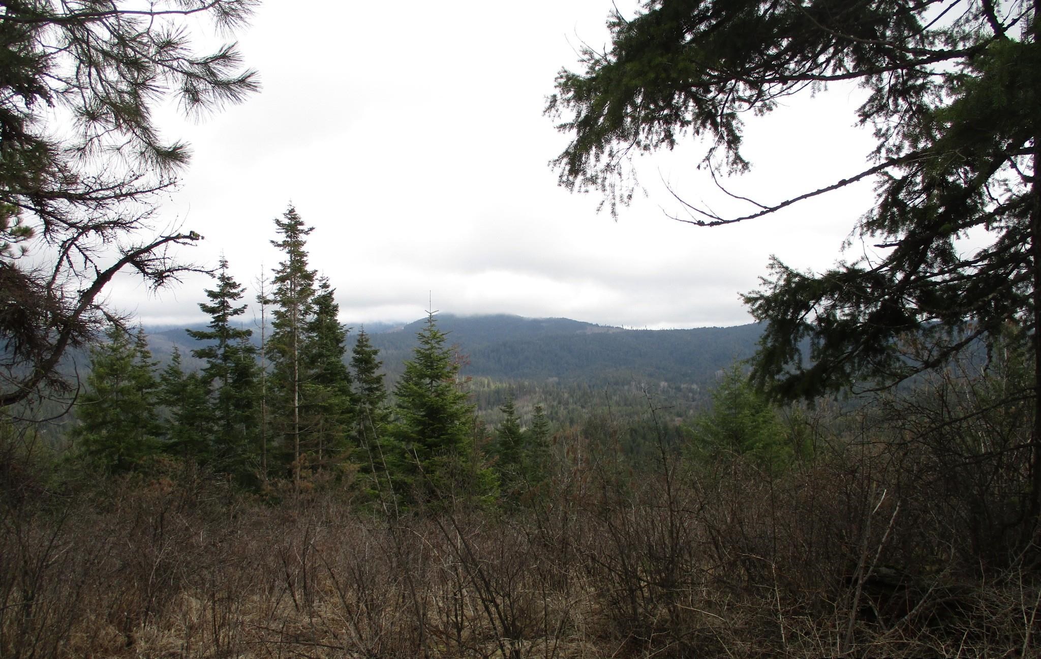 18xxx E Miner Rd - Photo 18