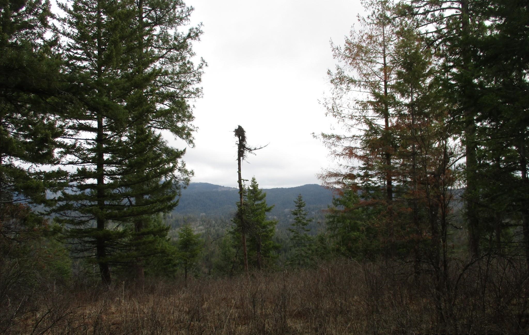 18xxx E Miner Rd - Photo 20
