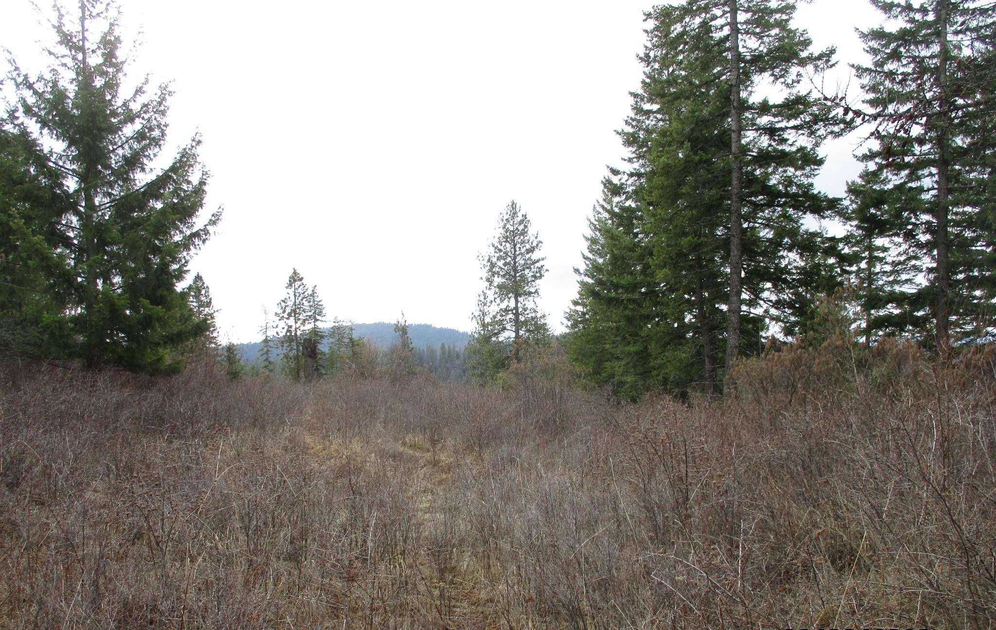 18xxx E Miner Rd - Photo 21